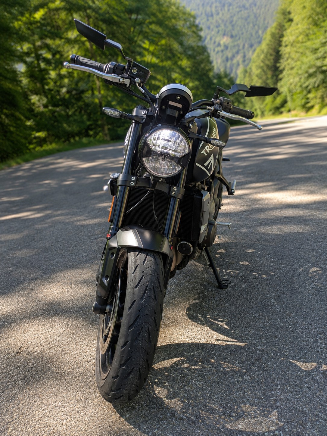 TRIUMPH Trident 660-image-2