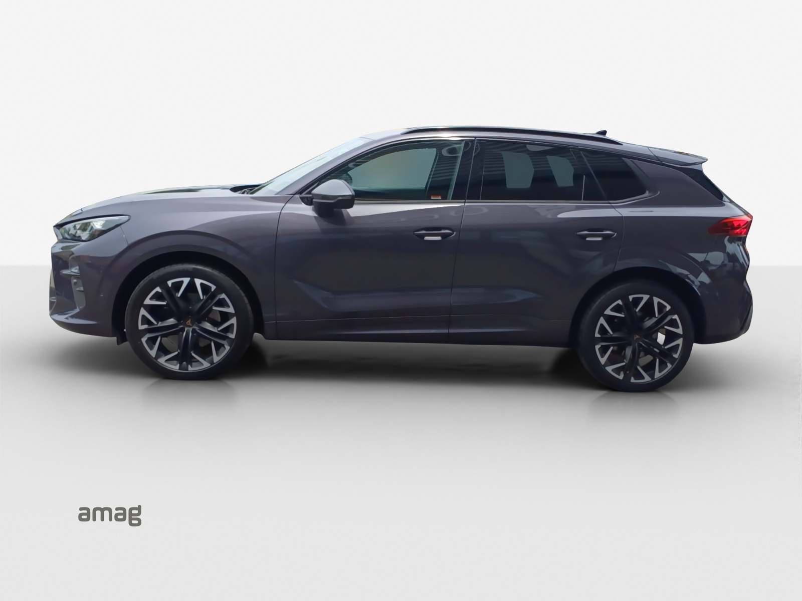 CUPRA Terramar 2.0 TSI DSG 4Drive VZ-showroom-element-1