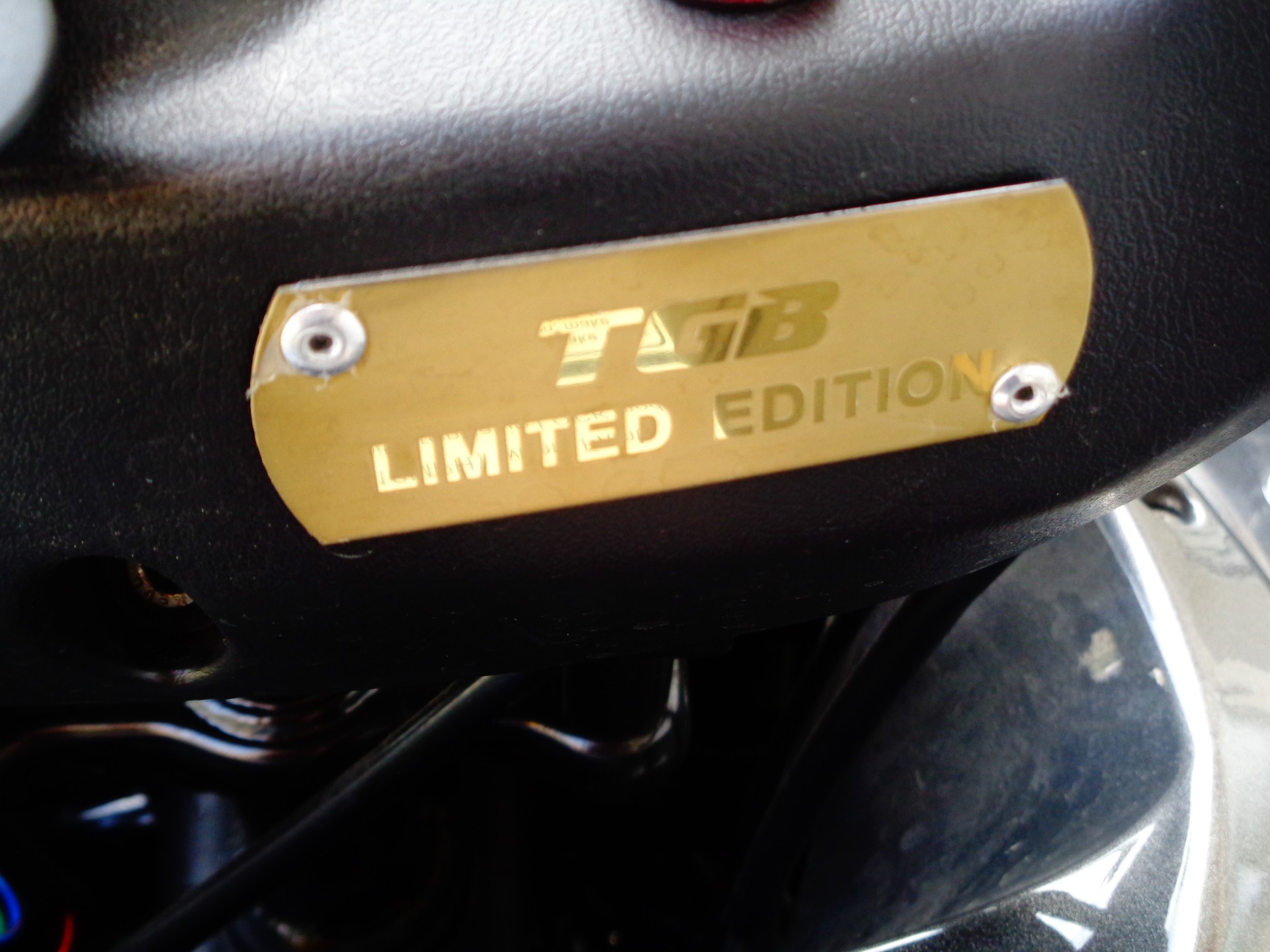 TGB Blade 1000 EFI EPS LTX MAX 4x4 LTD (Limited E.) 83PS-image-13