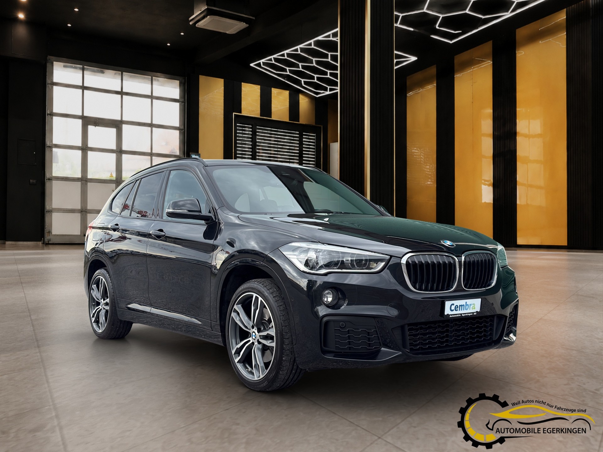 BMW X1 xDrive 20d M Sport Steptronic-showroom-element-2