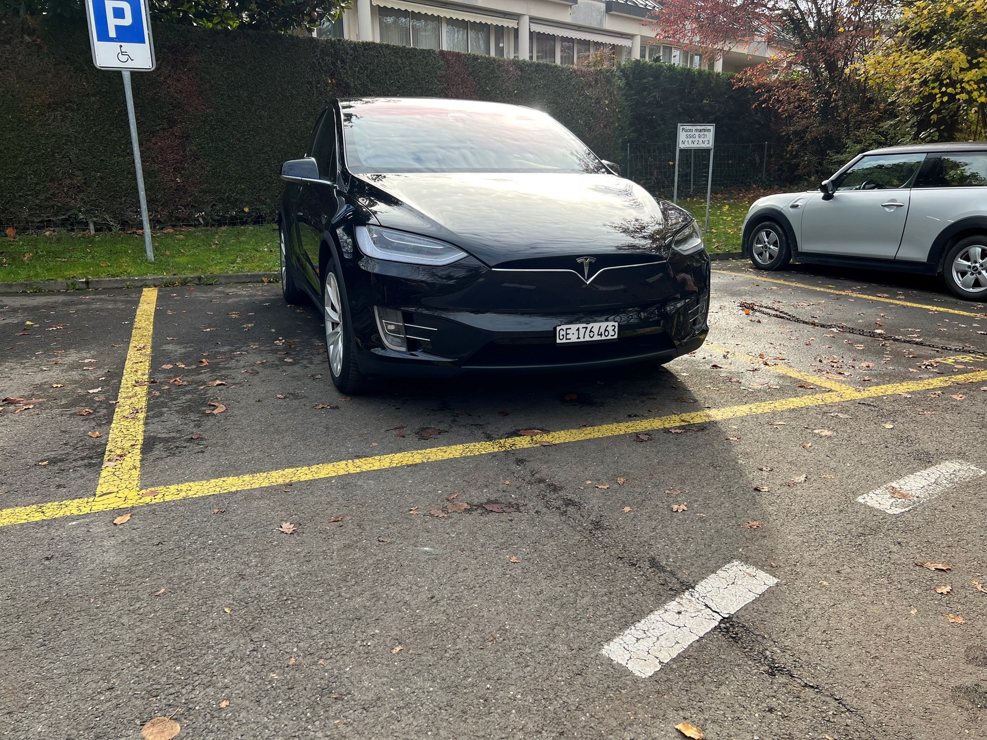 TESLA Model X Performance-image-6