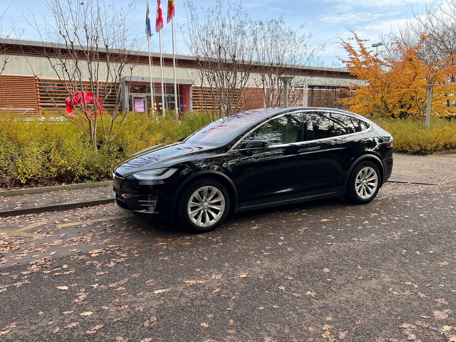 TESLA Model X Performance