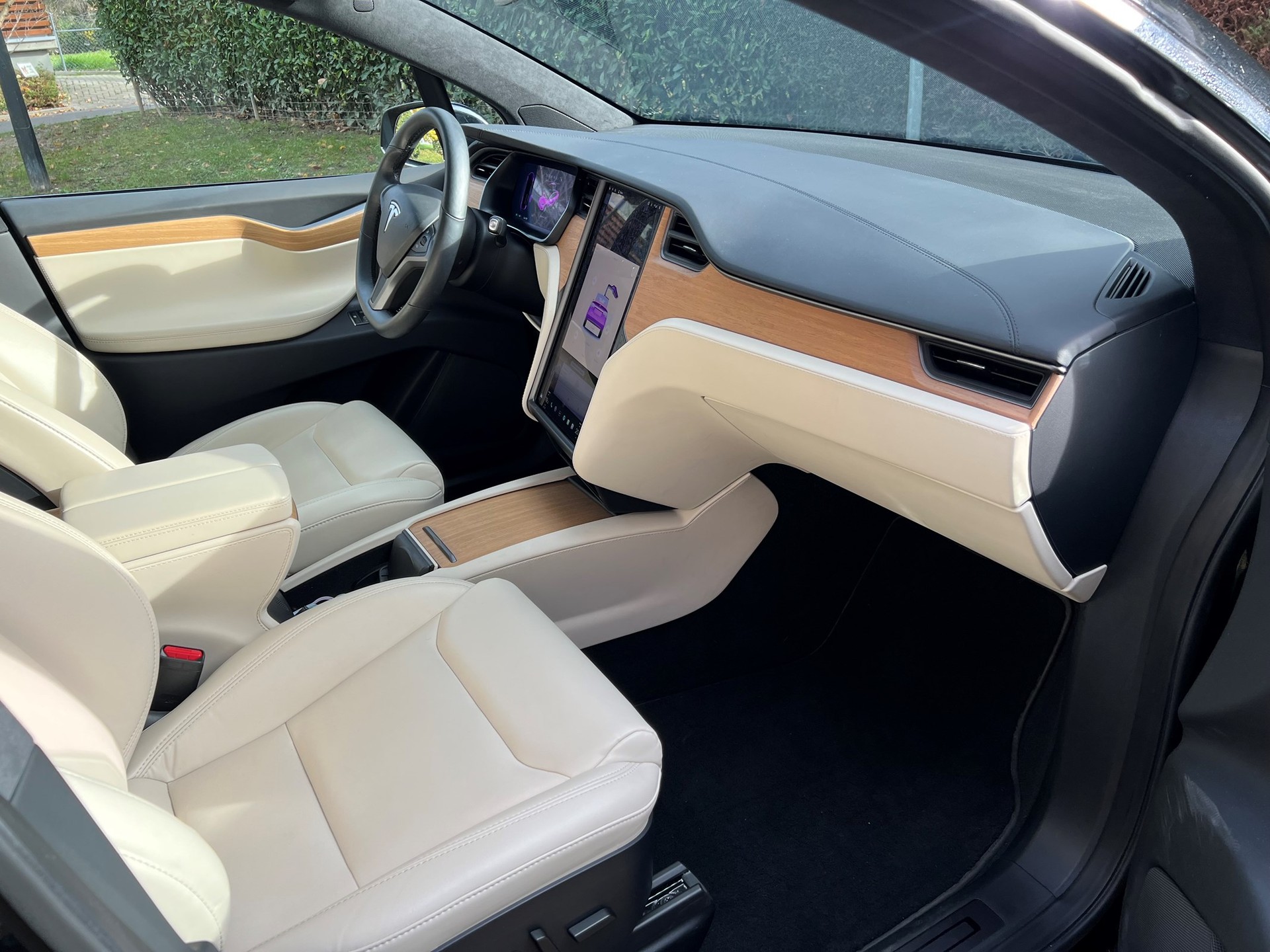TESLA Model X Performance-image-1
