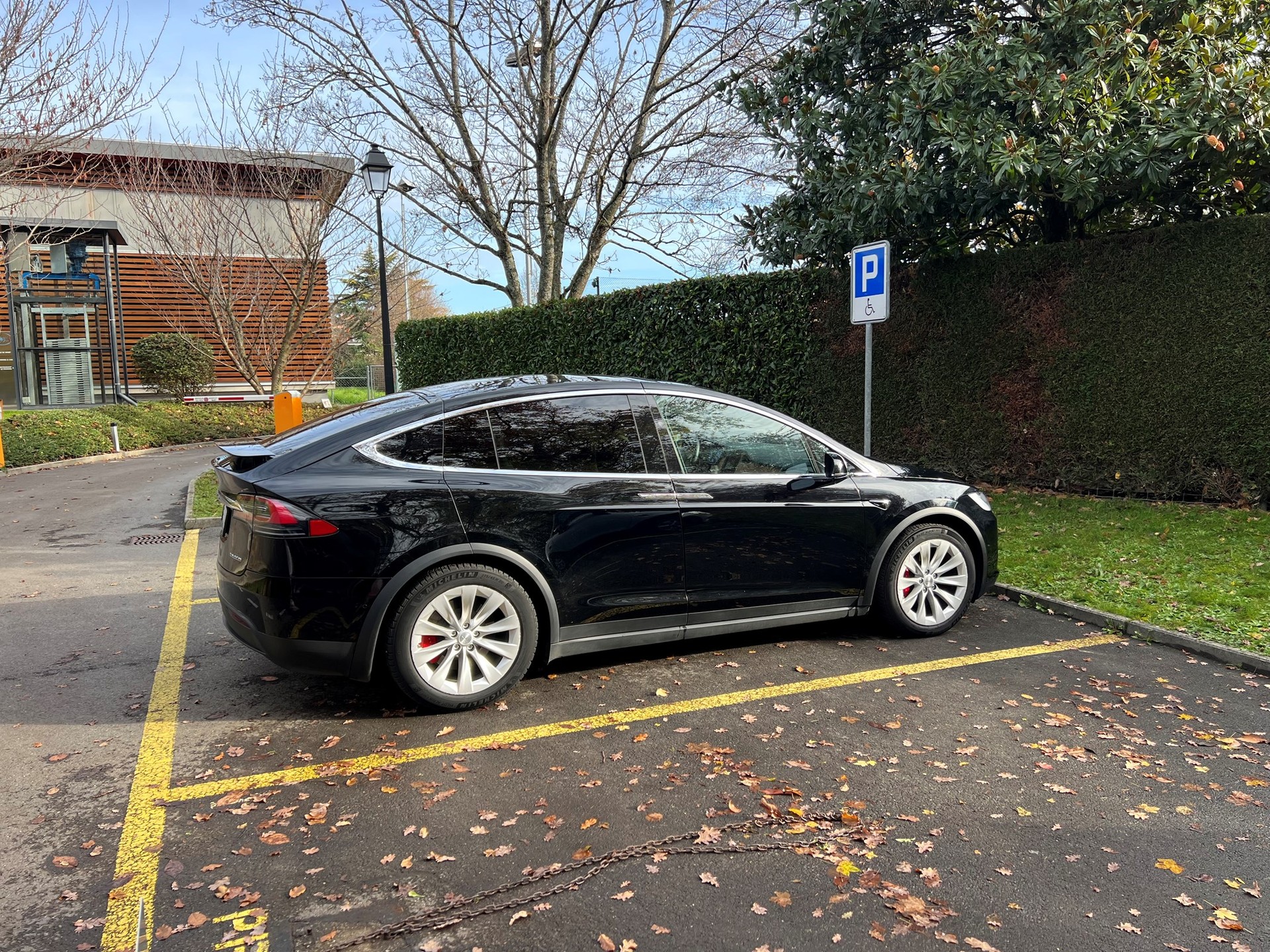 TESLA Model X Performance-image-9