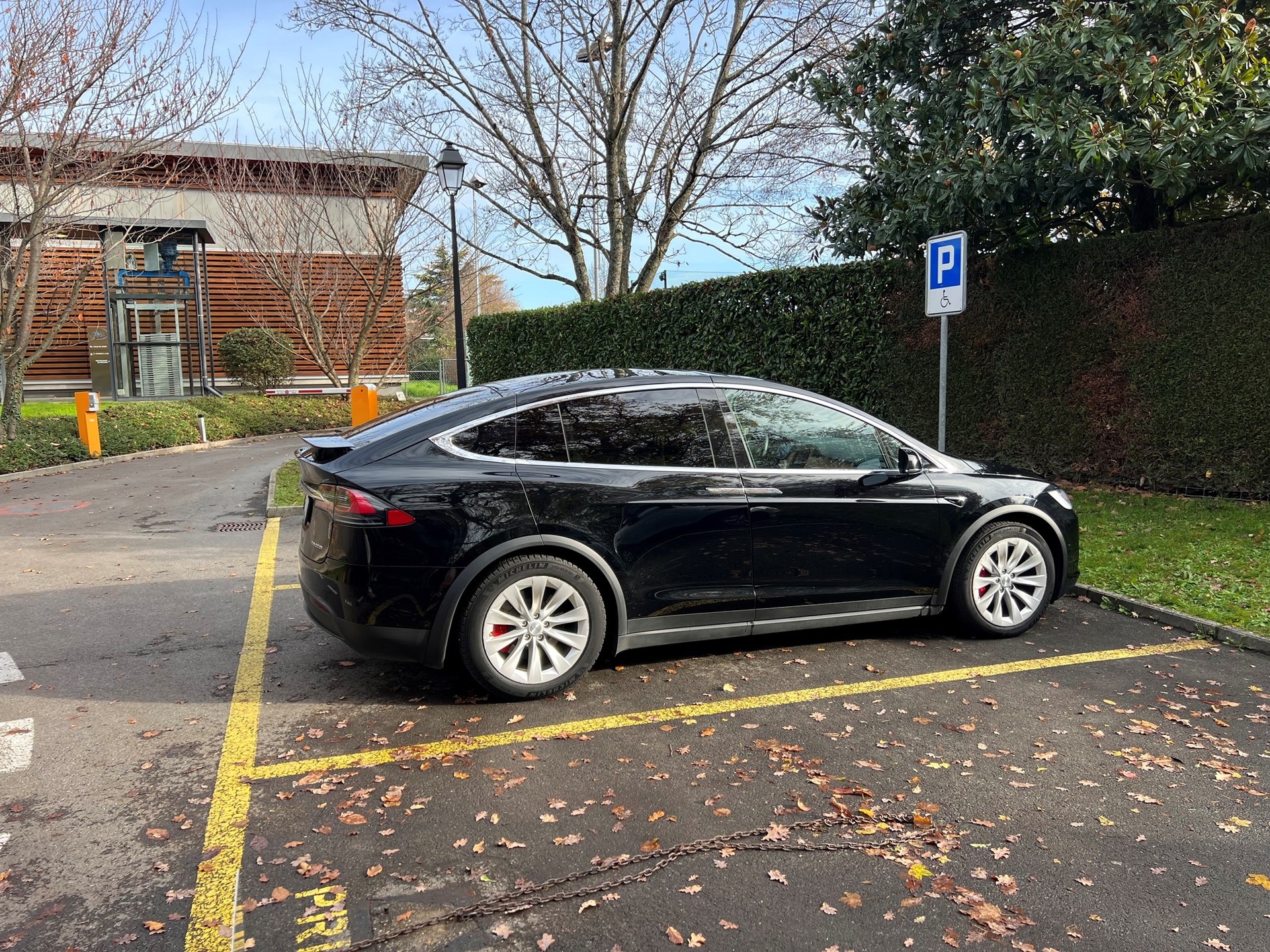 TESLA Model X Performance-image-8