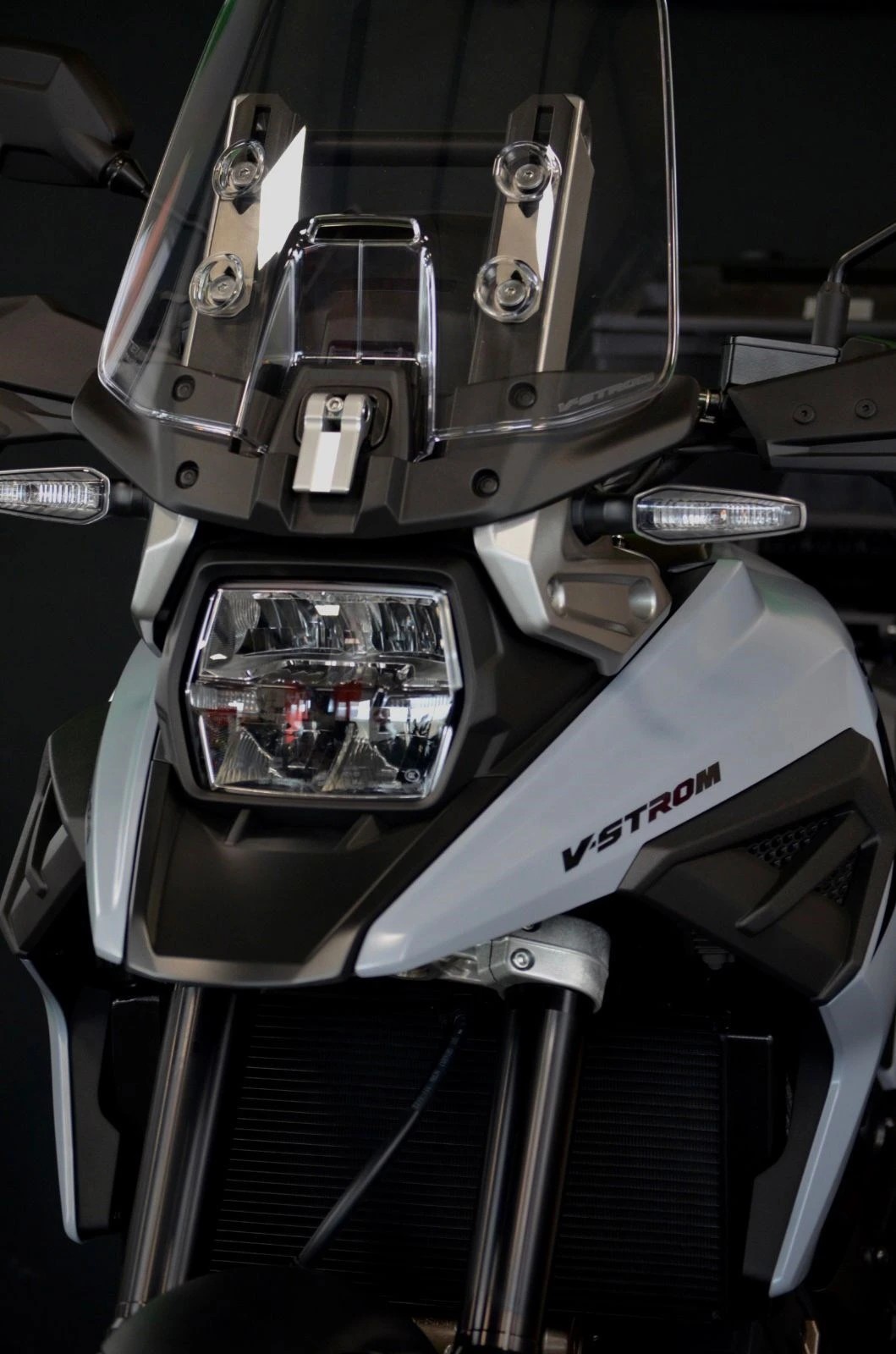 SUZUKI DL 1050 Adventure-image-2