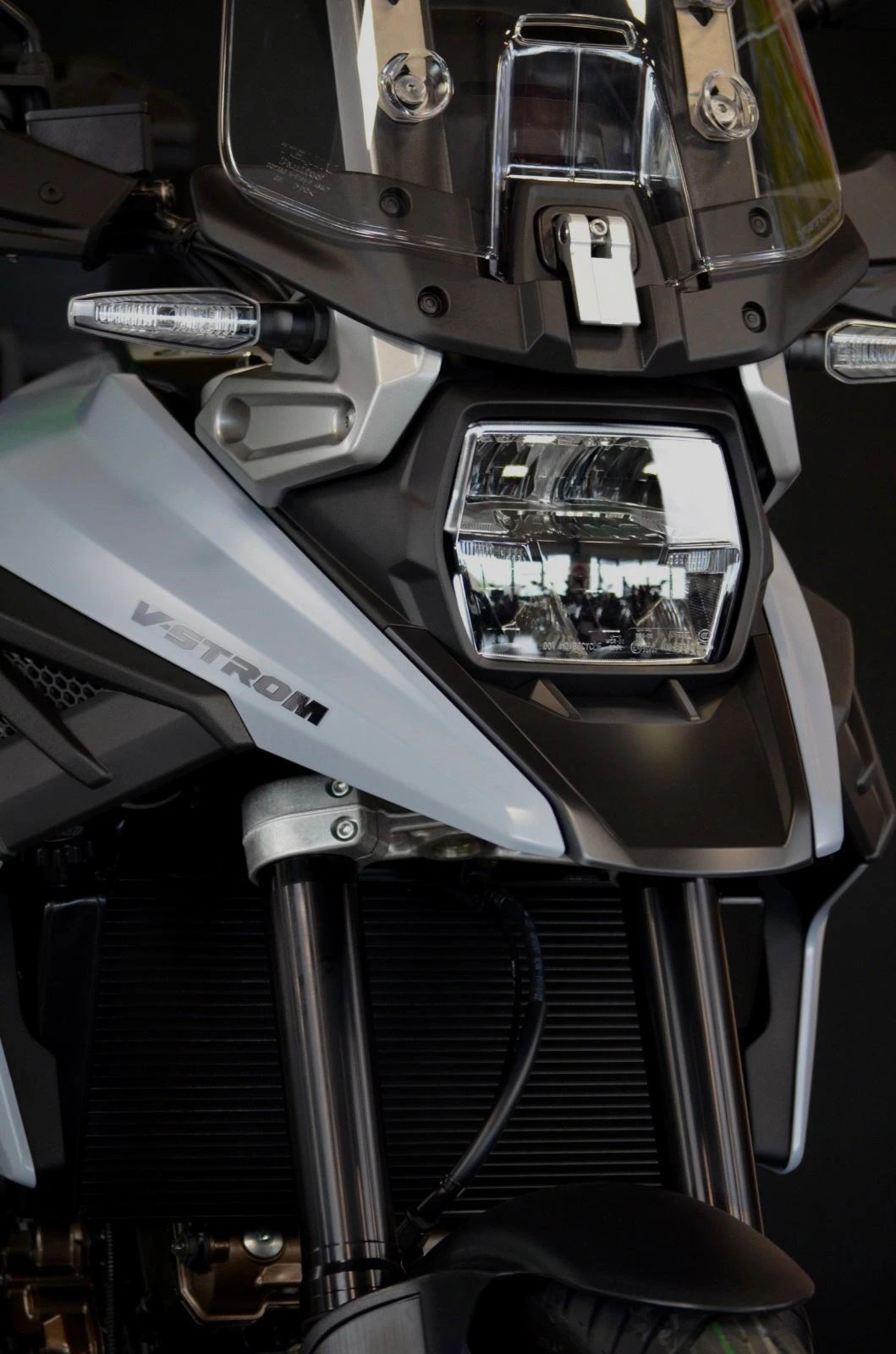 SUZUKI DL 1050 Adventure-image-3
