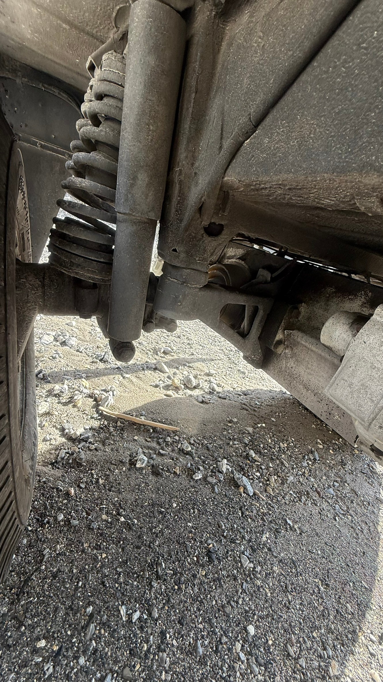PINZGAUER Steyer Puch Pinzgauer 710M 10-Plätzer, Brücke mit Blachenverdeck-image-15