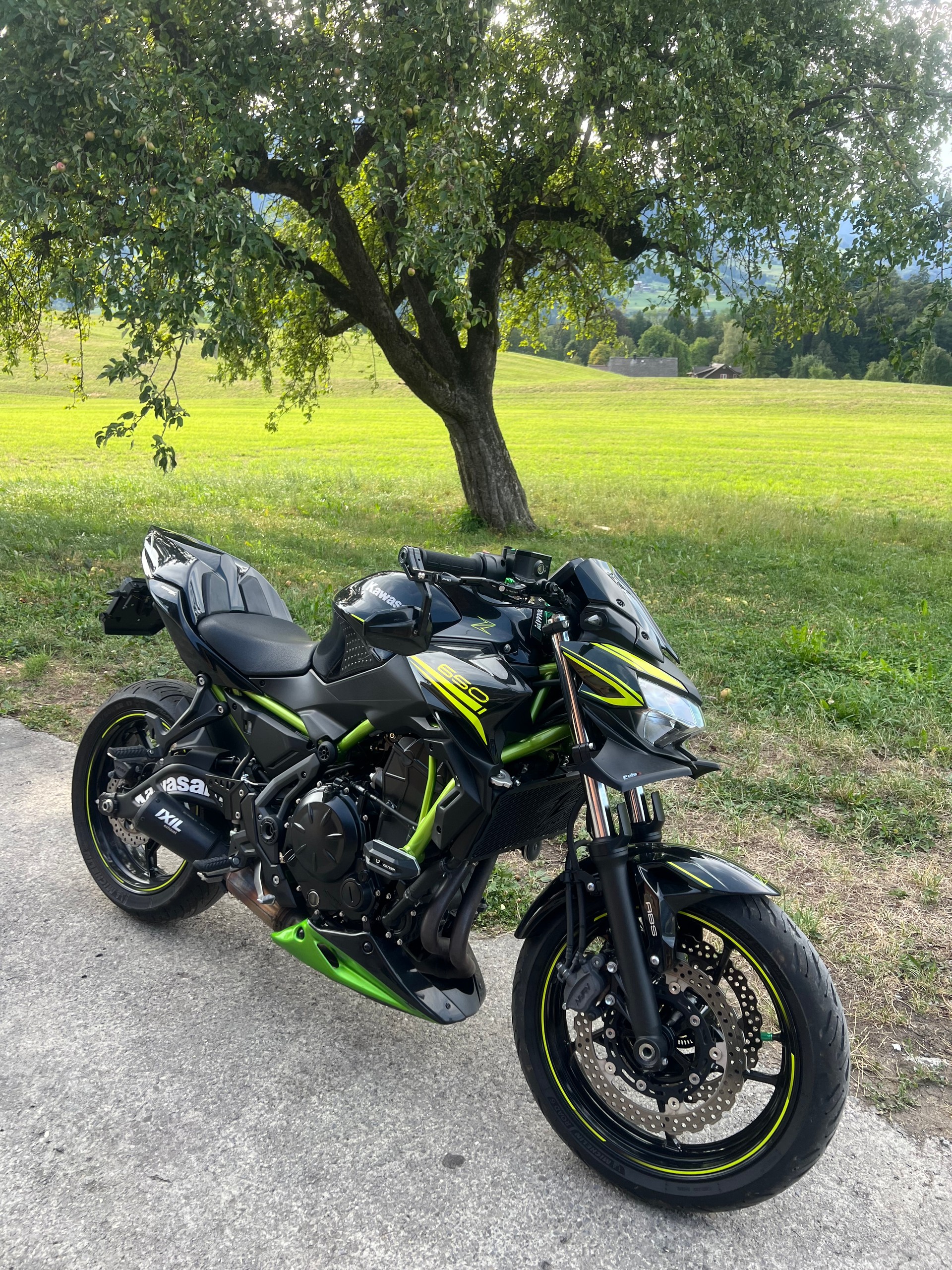 KAWASAKI Z 650 (35kW)-image-4
