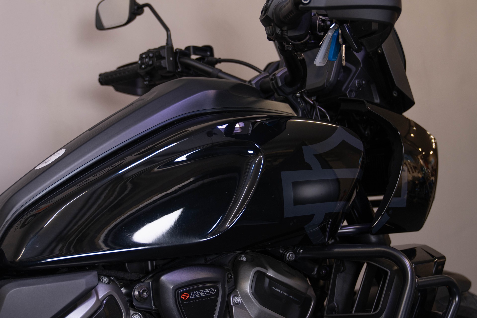 HARLEY-DAVIDSON RA Pan America 1250 Special-image-7