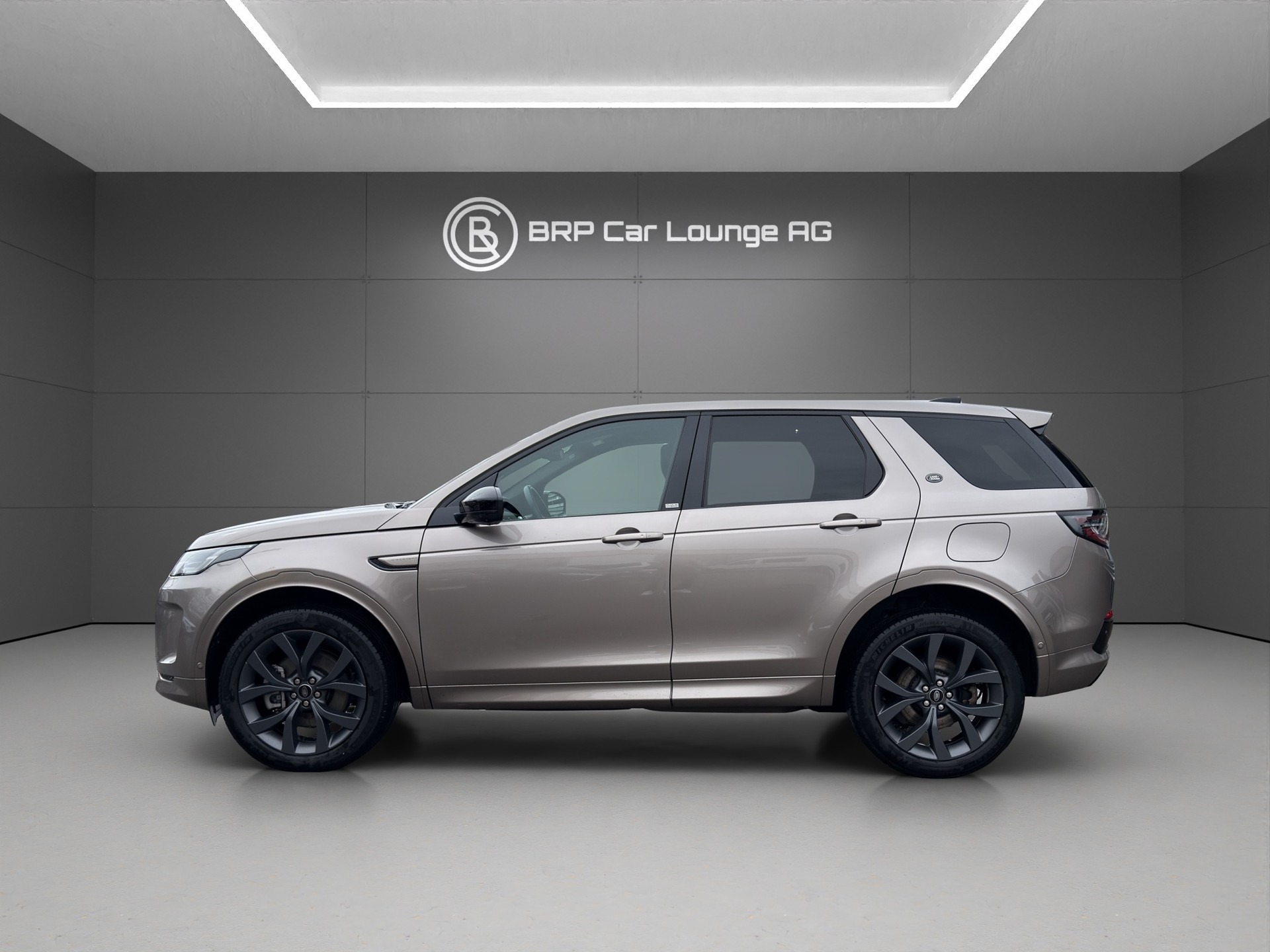 LAND ROVER Discovery Sport P300 * PlugIN * R Dynamic * TOP Ausstattung *-showroom-element-1