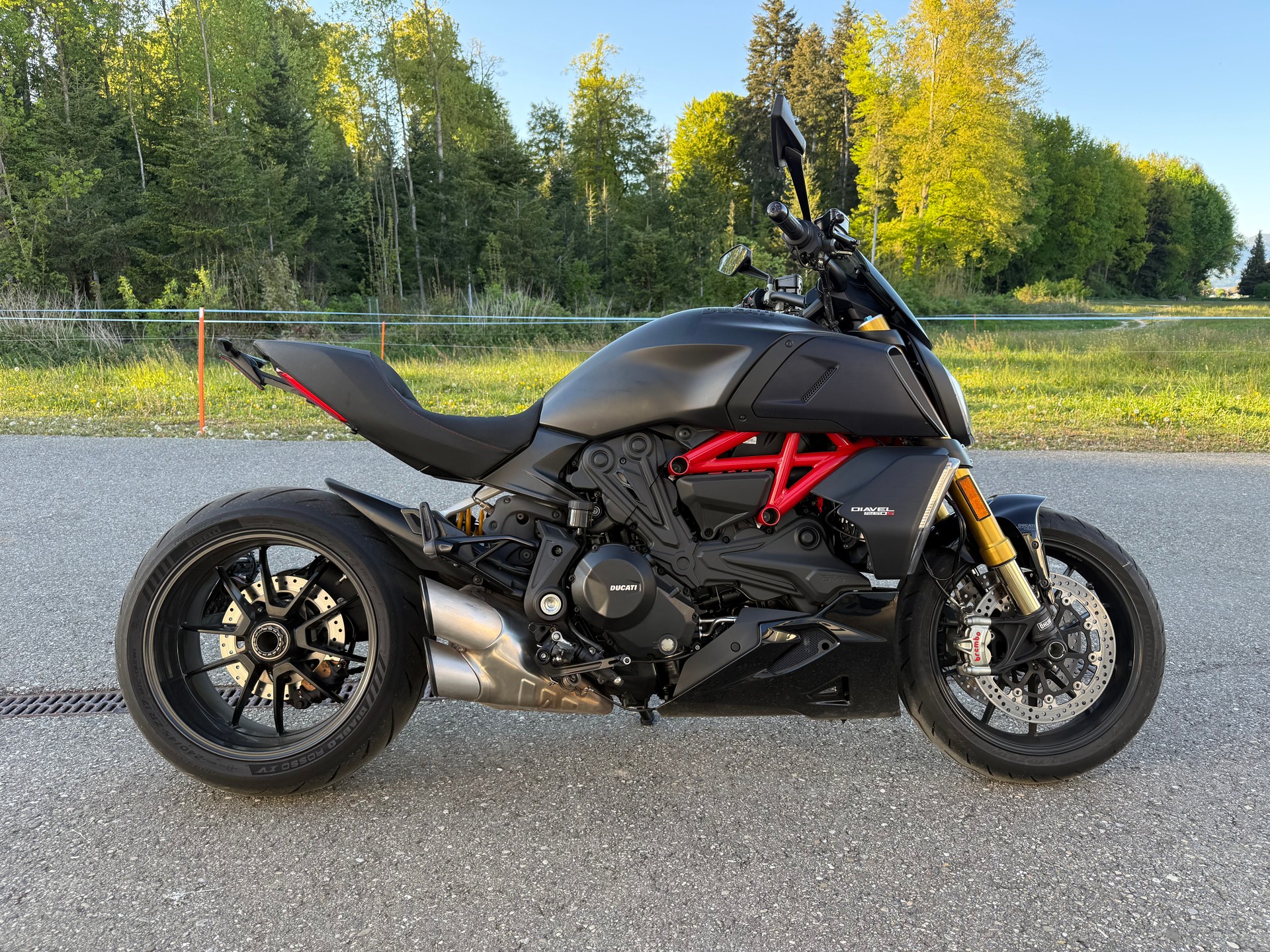 DUCATI Diavel 1260 S