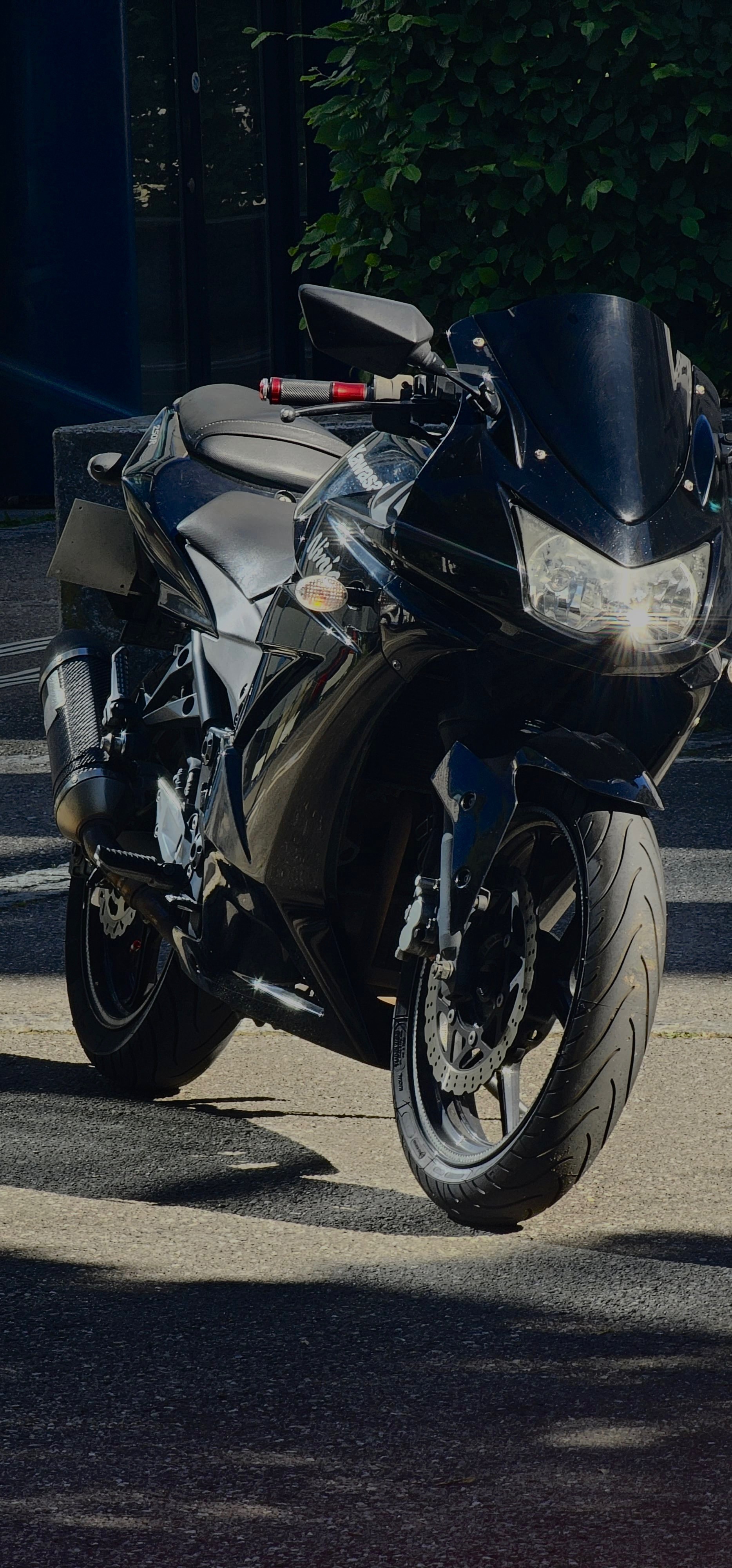 KAWASAKI Ninja 250 R-image-2