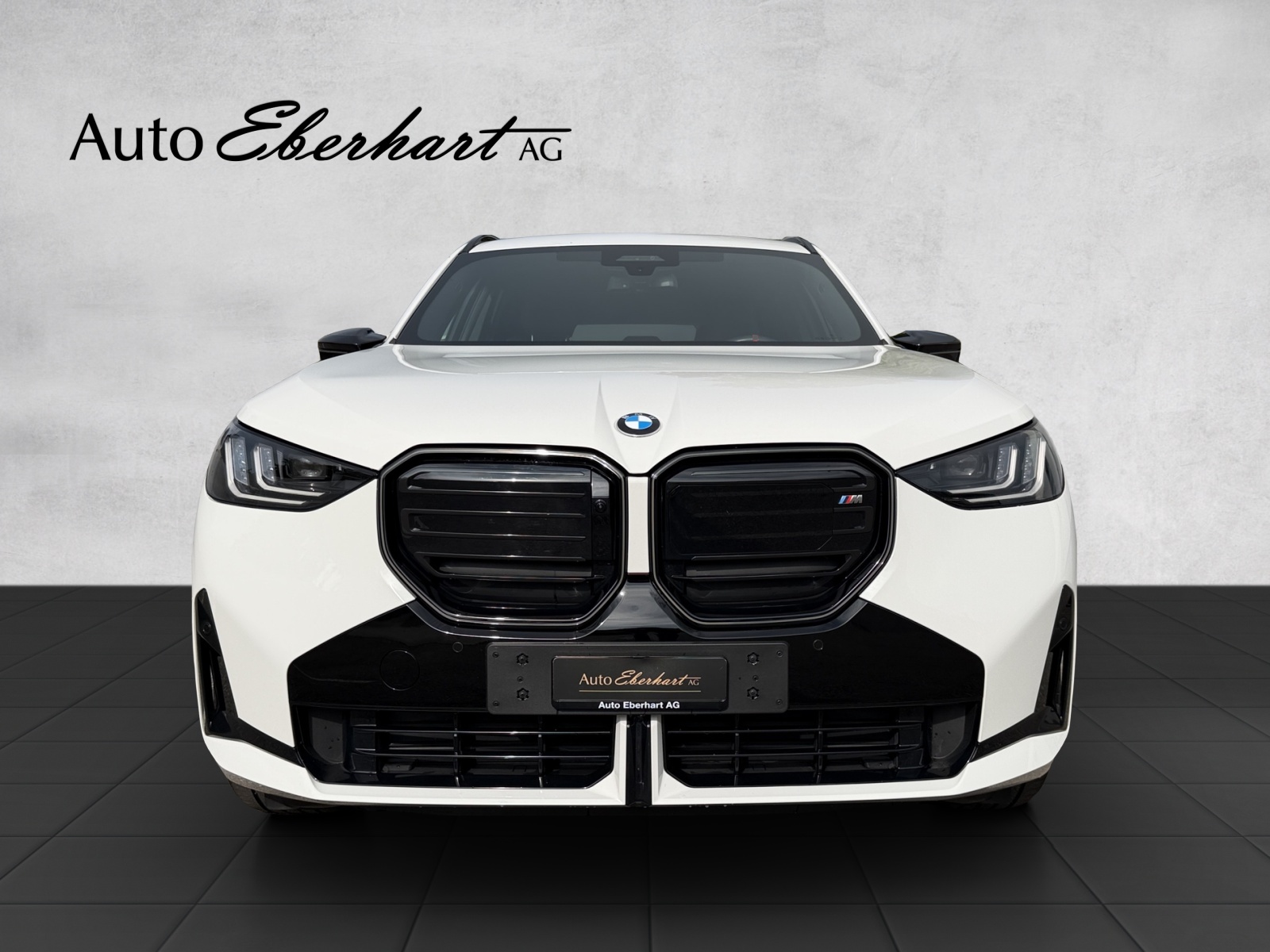 BMW X3 xDrive M50 48V M Sport Pro-showroom-element-3
