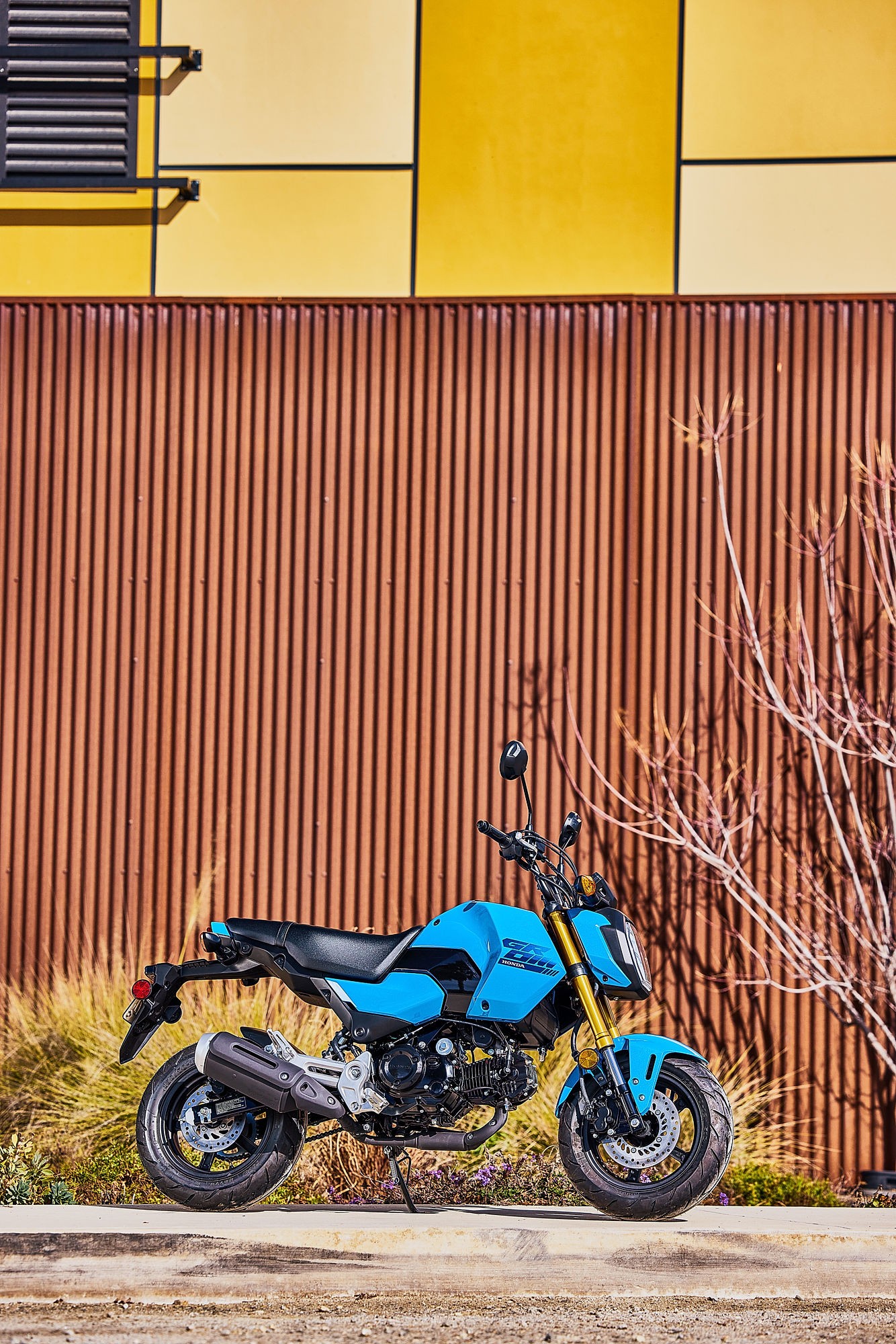 HONDA MSX 125