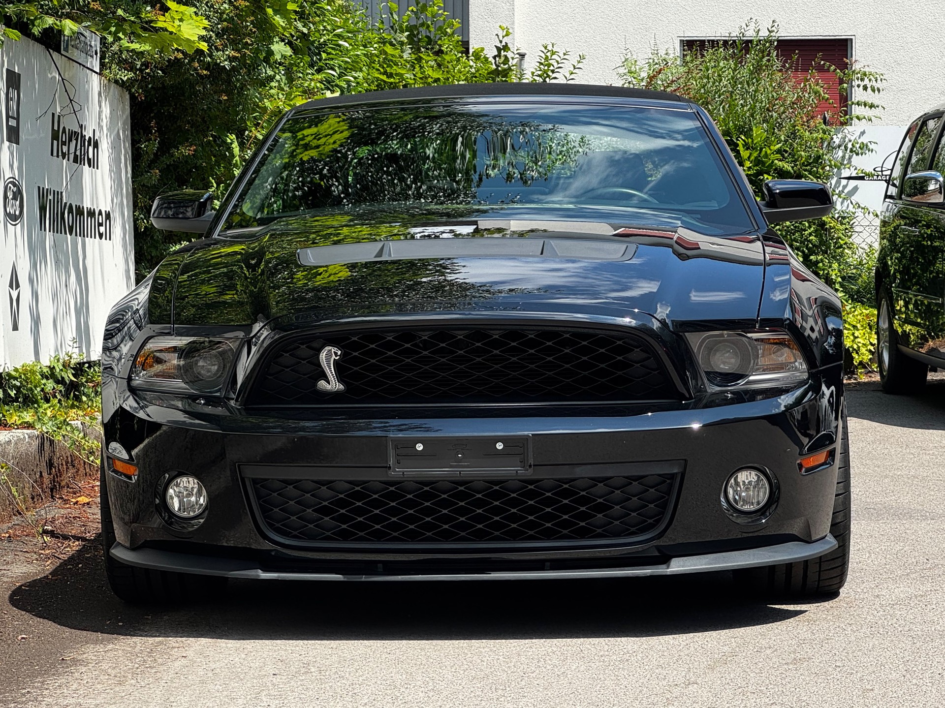 FORD Mustang Shelby GT500 Cabrio-image-1