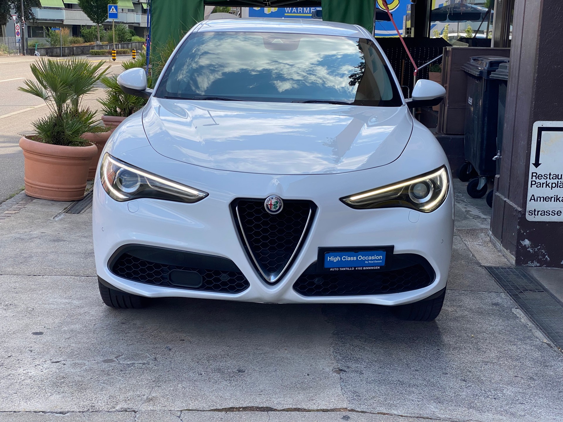 ALFA ROMEO Stelvio 2.0 Super Q4 Automatic 280PS 8-AT, Frisch ab MFK 05.2026-showroom-element-1