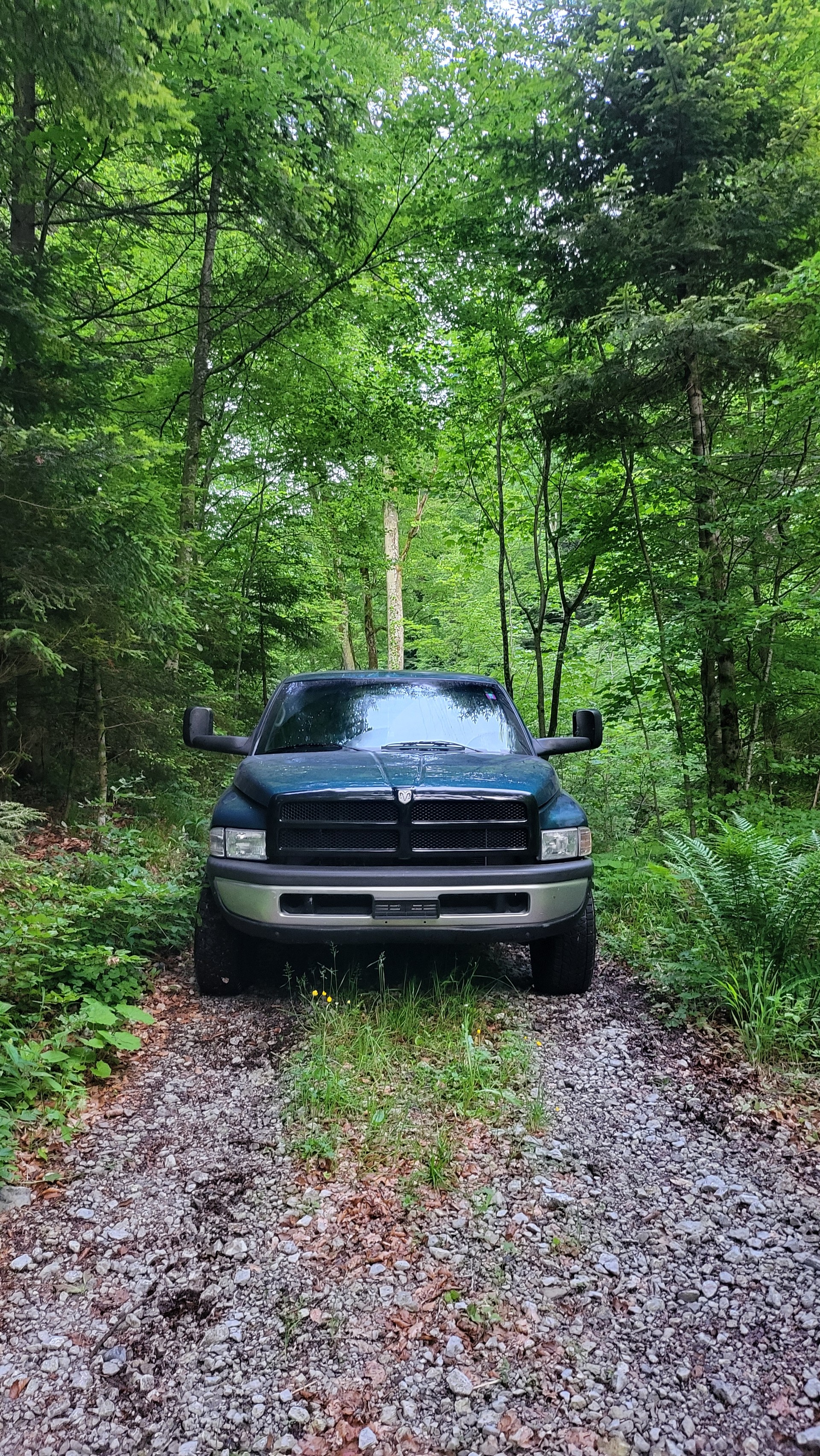 DODGE Long Bad 5.9l V8-image-3