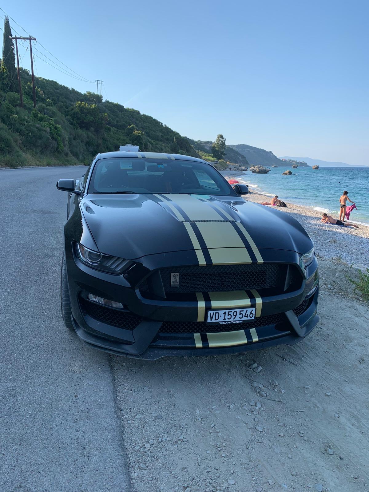 FORD Shelby