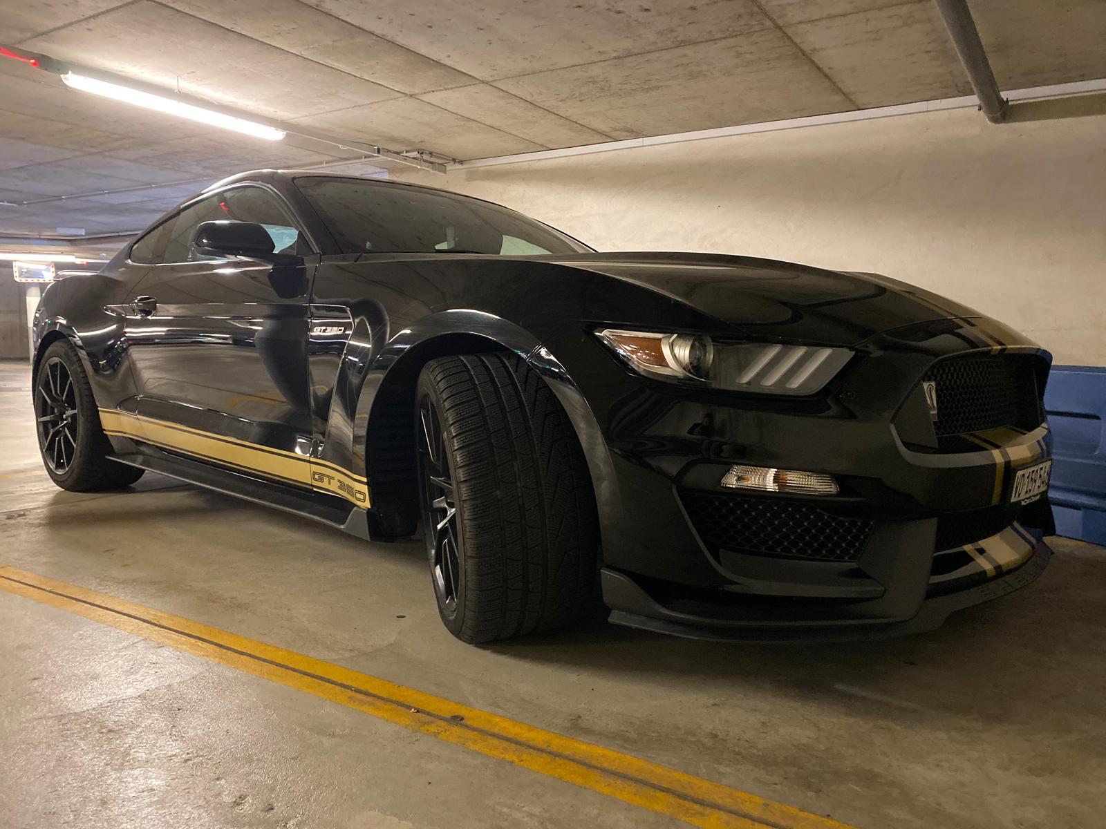 FORD Shelby-showroom-element-3