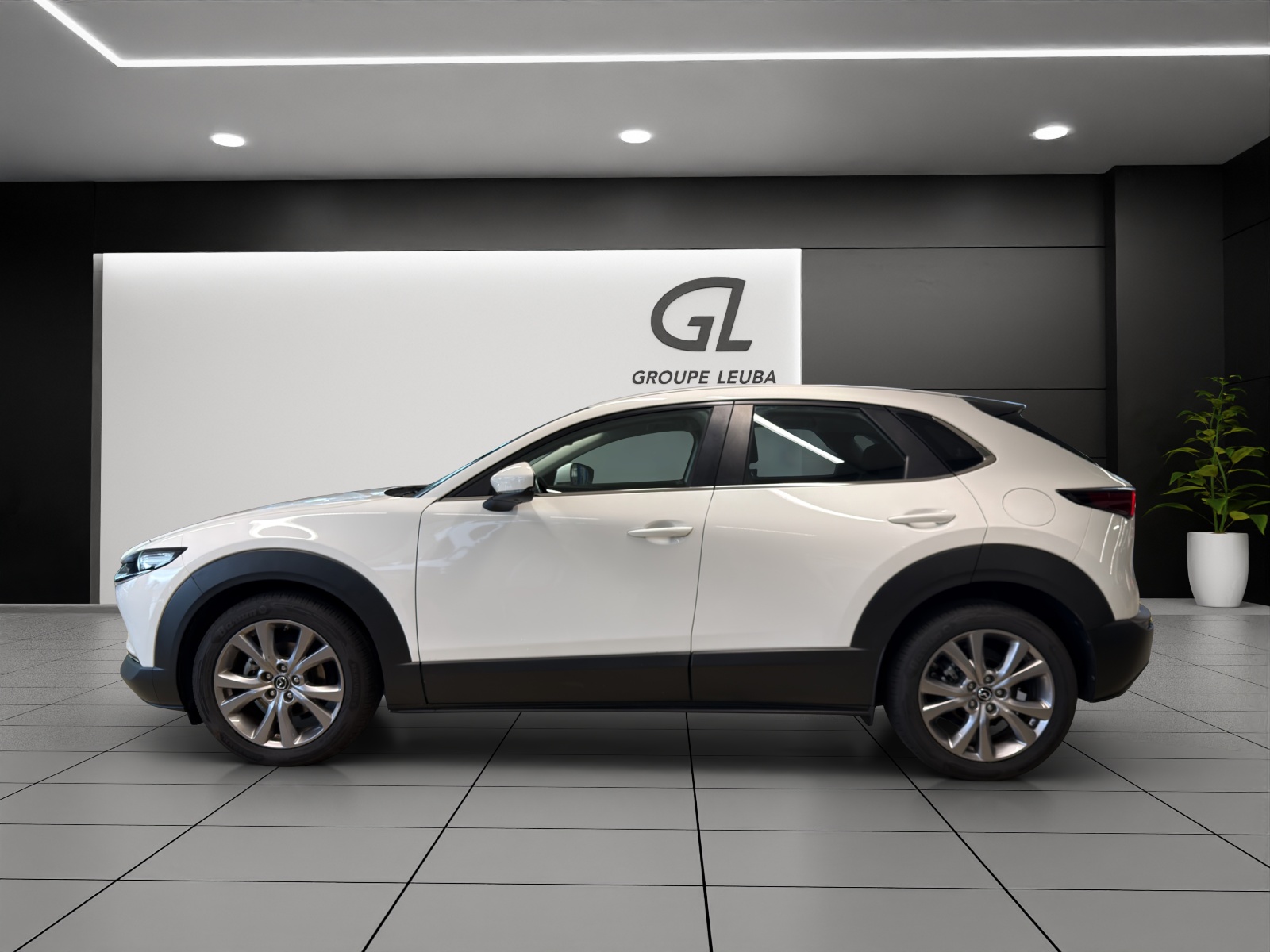 MAZDA CX-30 X 180 Ambition Plus-showroom-element-2