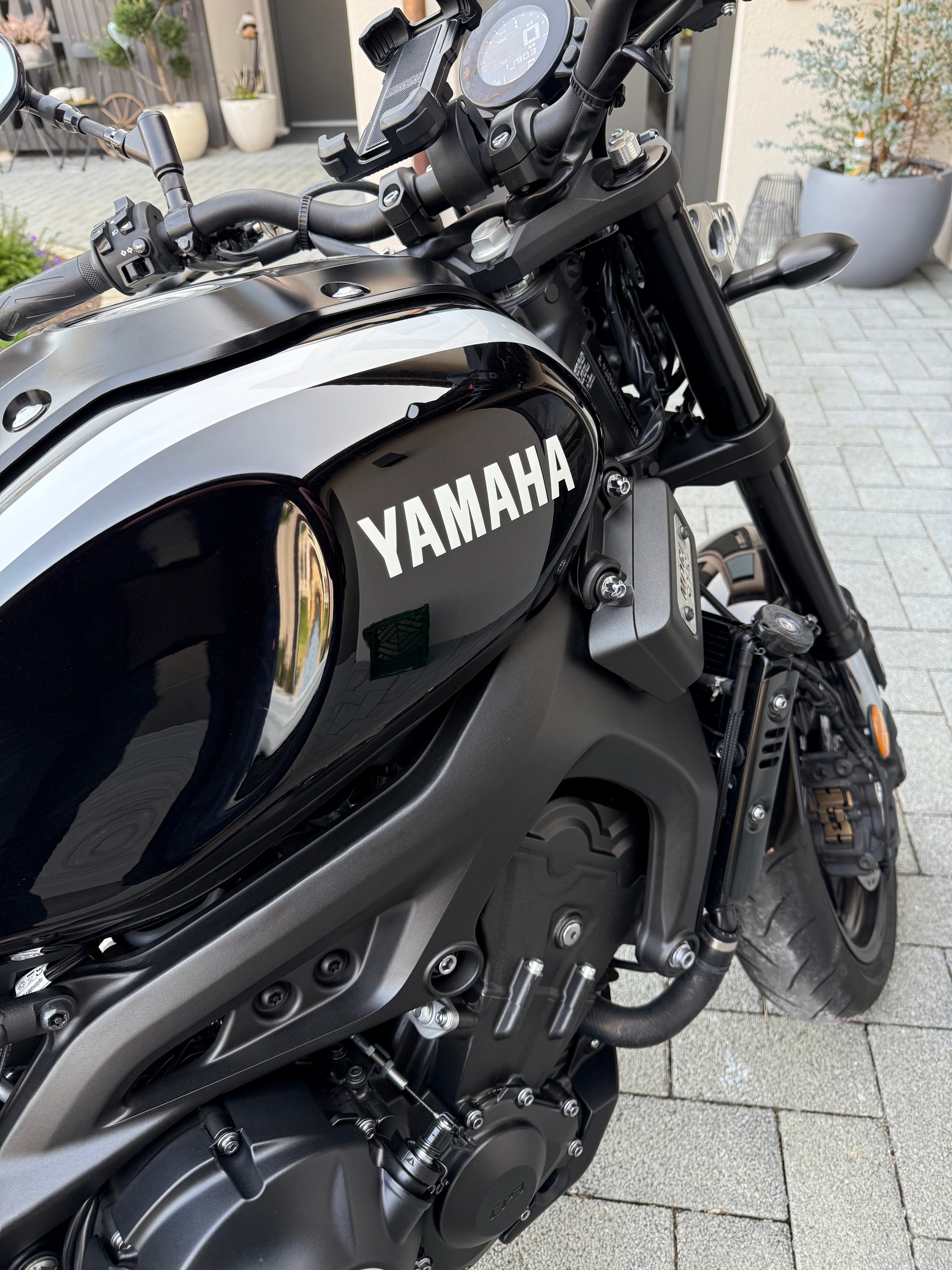 YAMAHA XSR 900-image-0