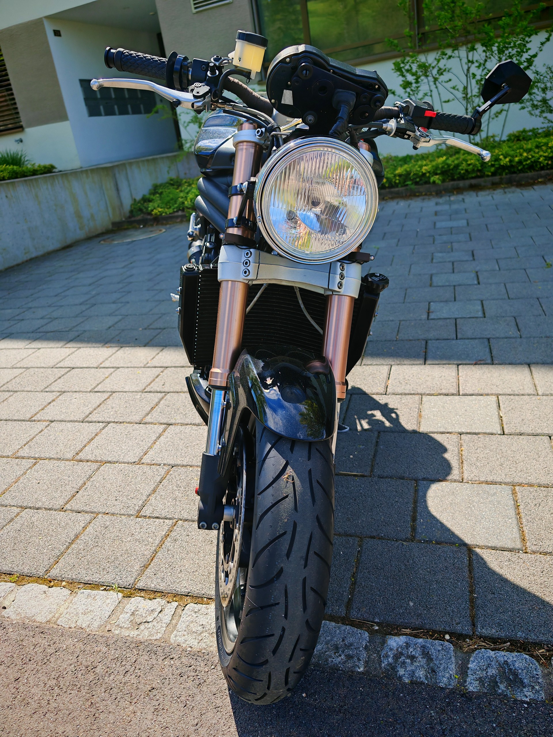 TRIUMPH Speed Triple 1050 ABS-image-10
