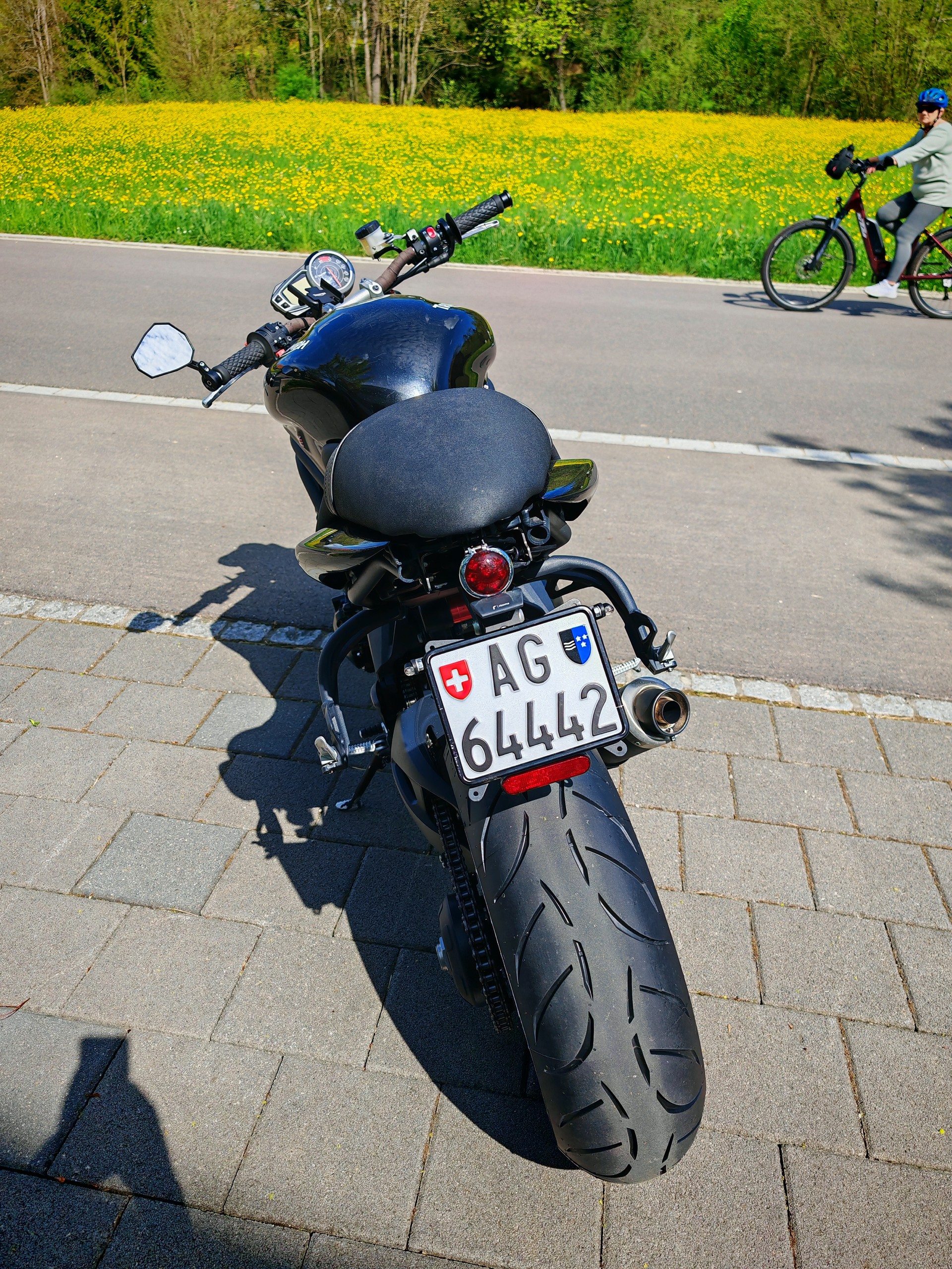 TRIUMPH Speed Triple 1050 ABS-image-3