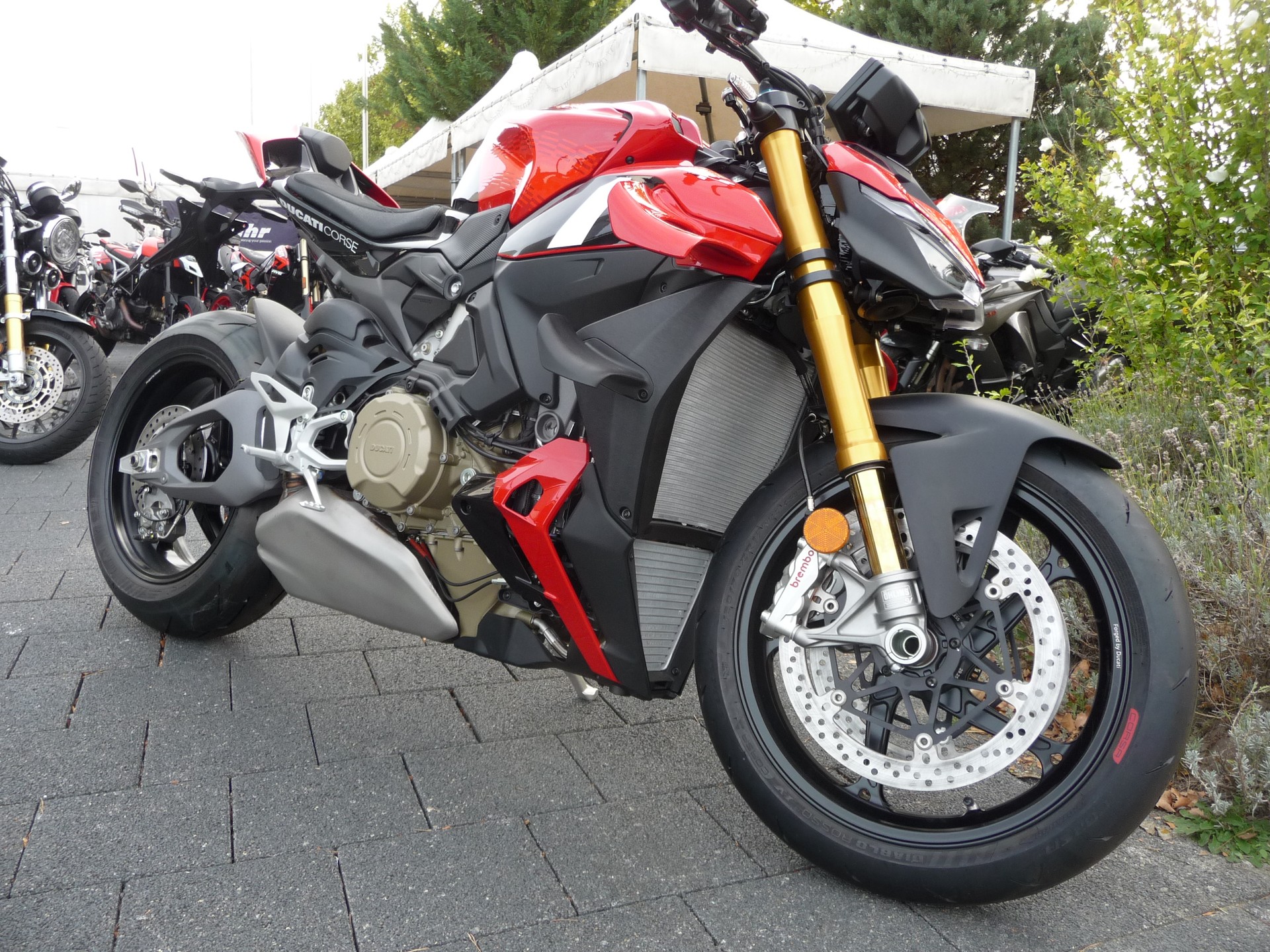 DUCATI CORSE-image-2
