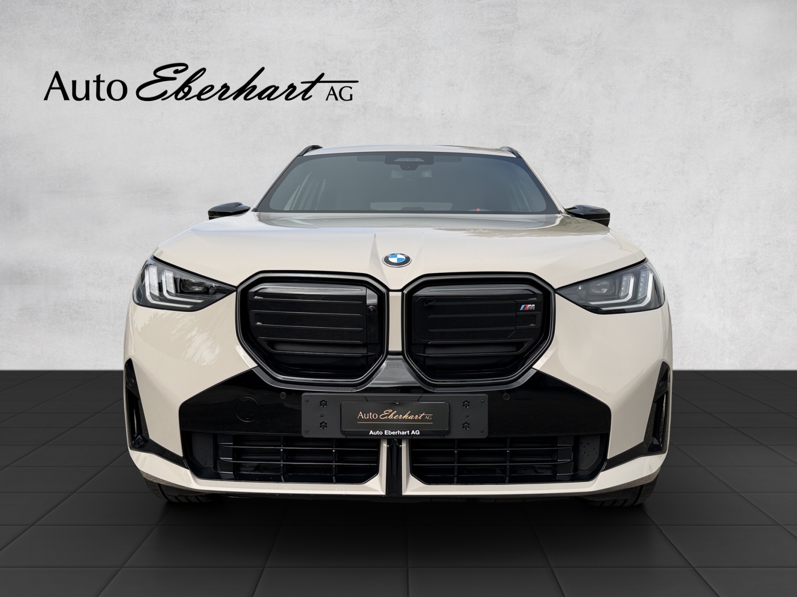 BMW X3 xDrive M50 48V M Sport Pro-showroom-element-3