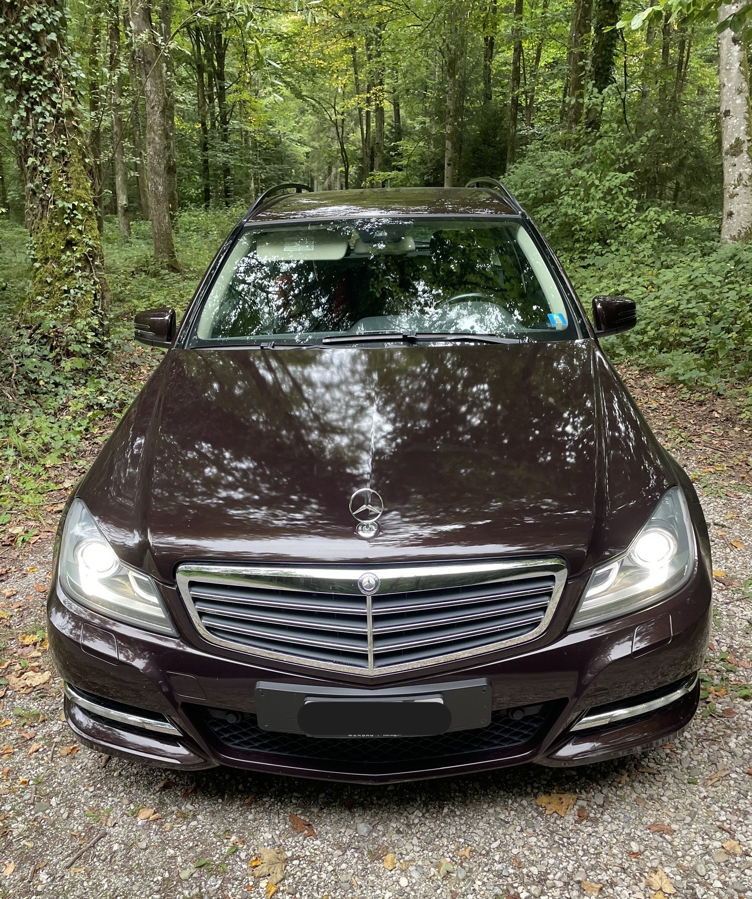 MERCEDES-BENZ C 250 CDI BlueEF