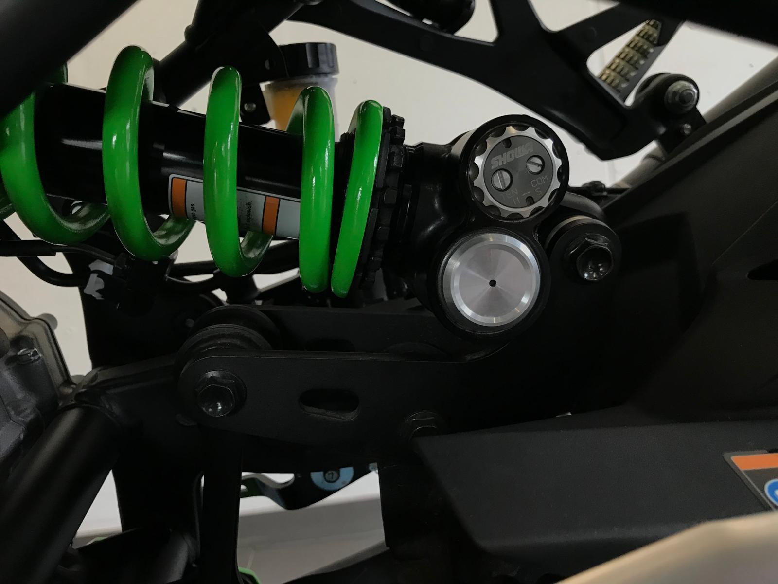 KAWASAKI Ninja ZX-4RR (35kW)-image-15