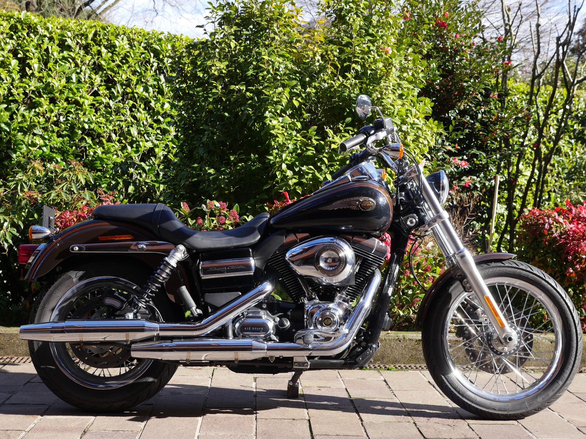 HARLEY-DAVIDSON FXDCI Dyna Super Glide Custom ABS Anniversary-image-0
