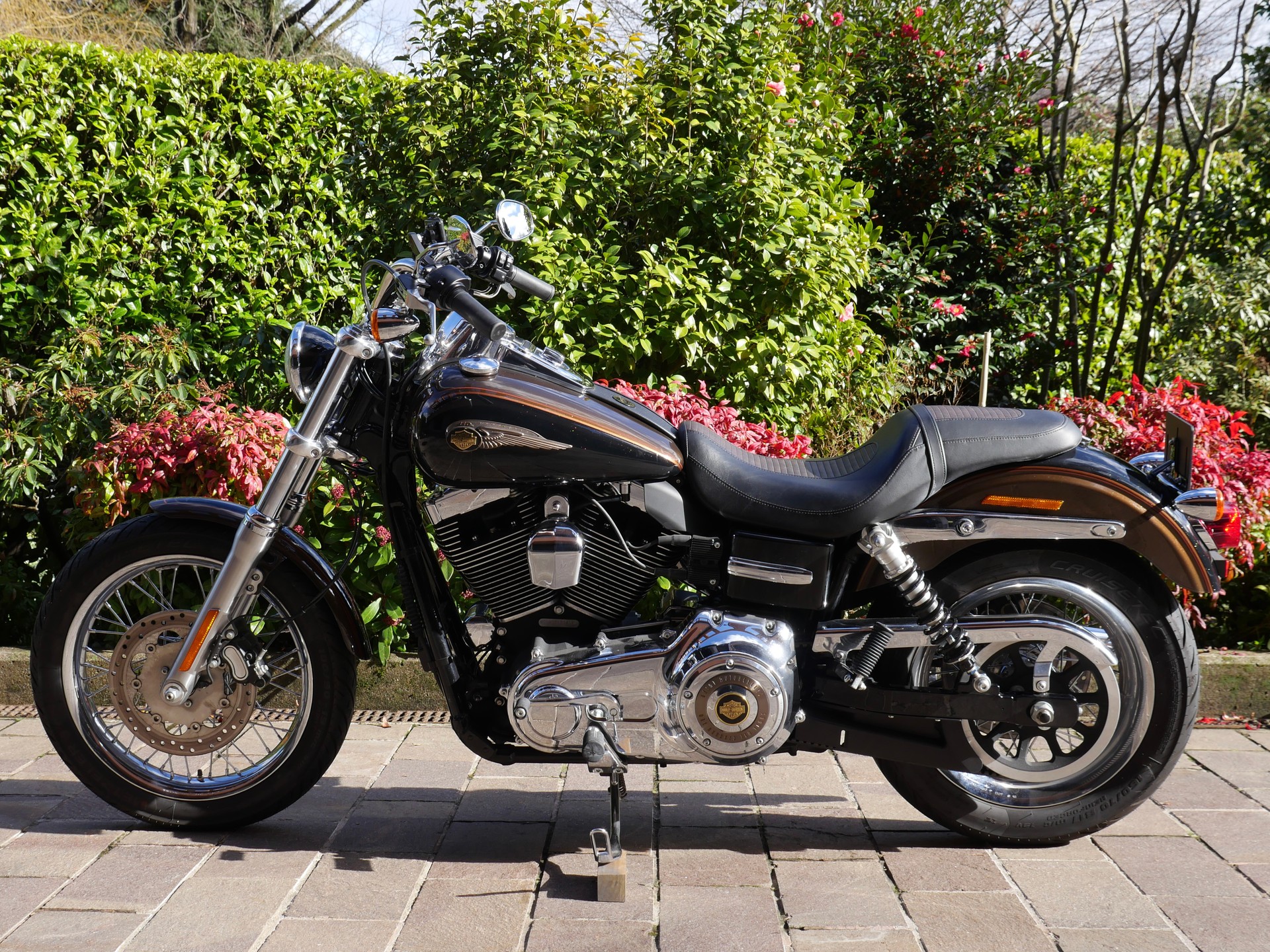 HARLEY-DAVIDSON FXDCI Dyna Super Glide Custom ABS Anniversary-image-1