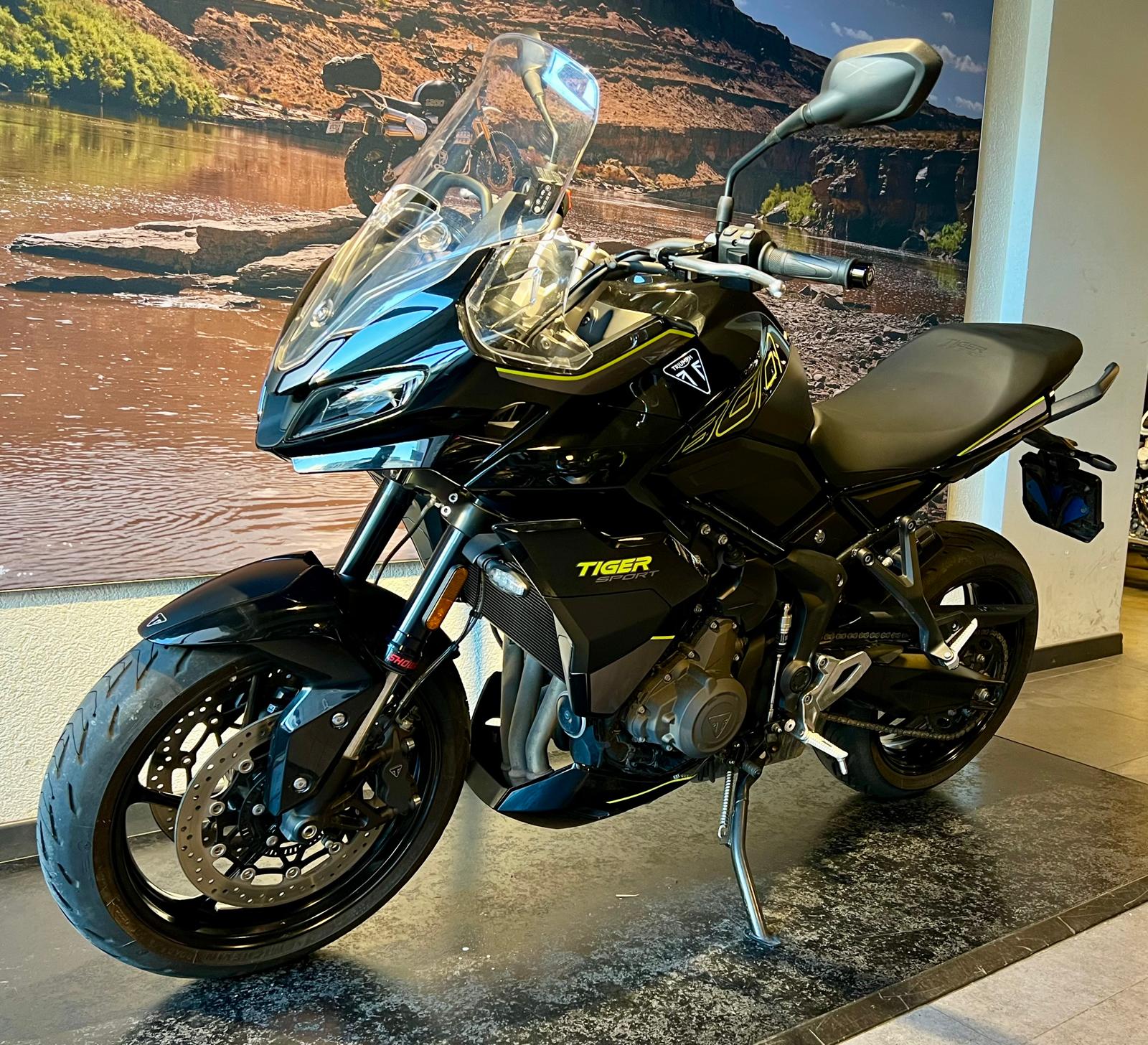 TRIUMPH Tiger Sport 800-image-2