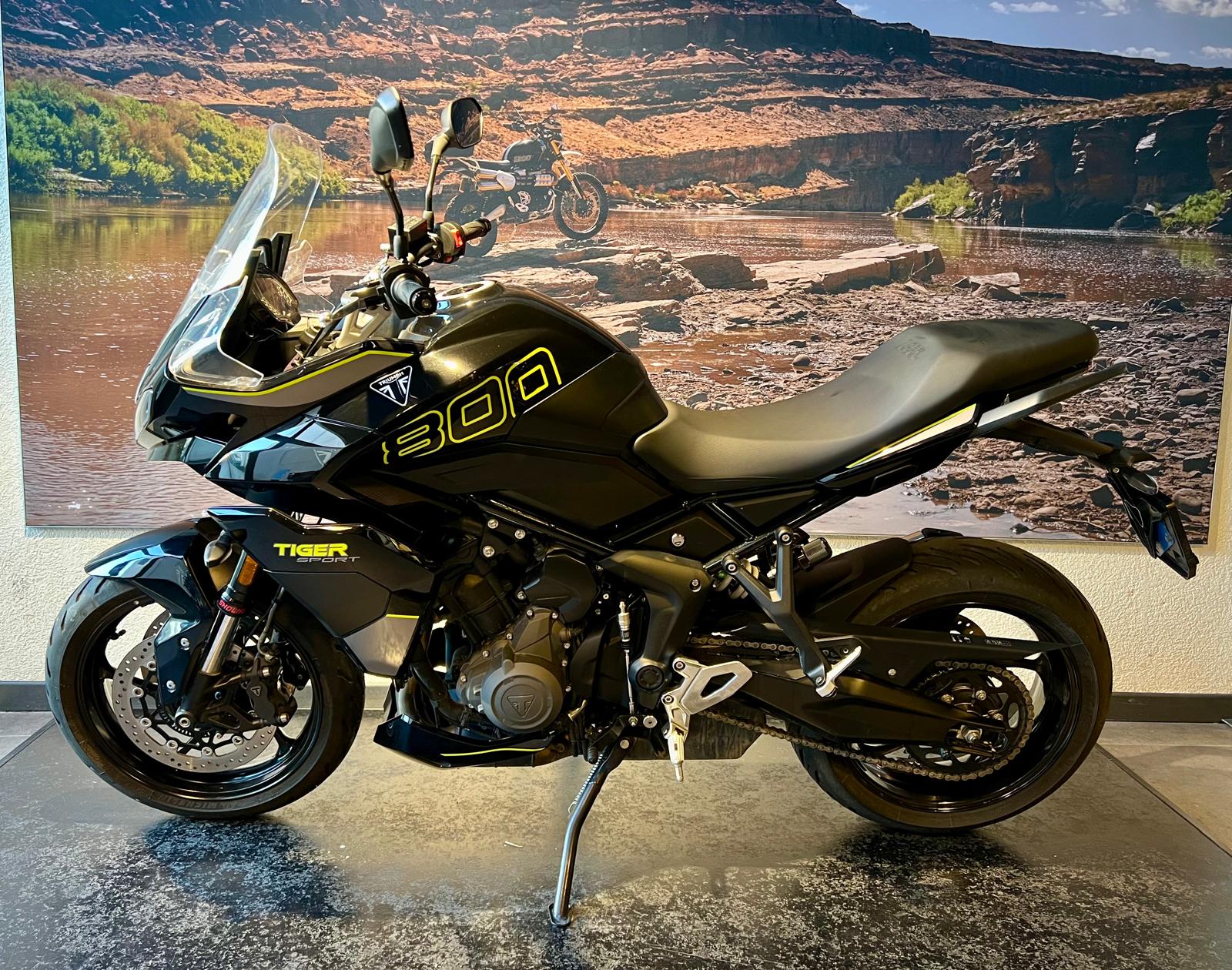 TRIUMPH Tiger Sport 800-image-3