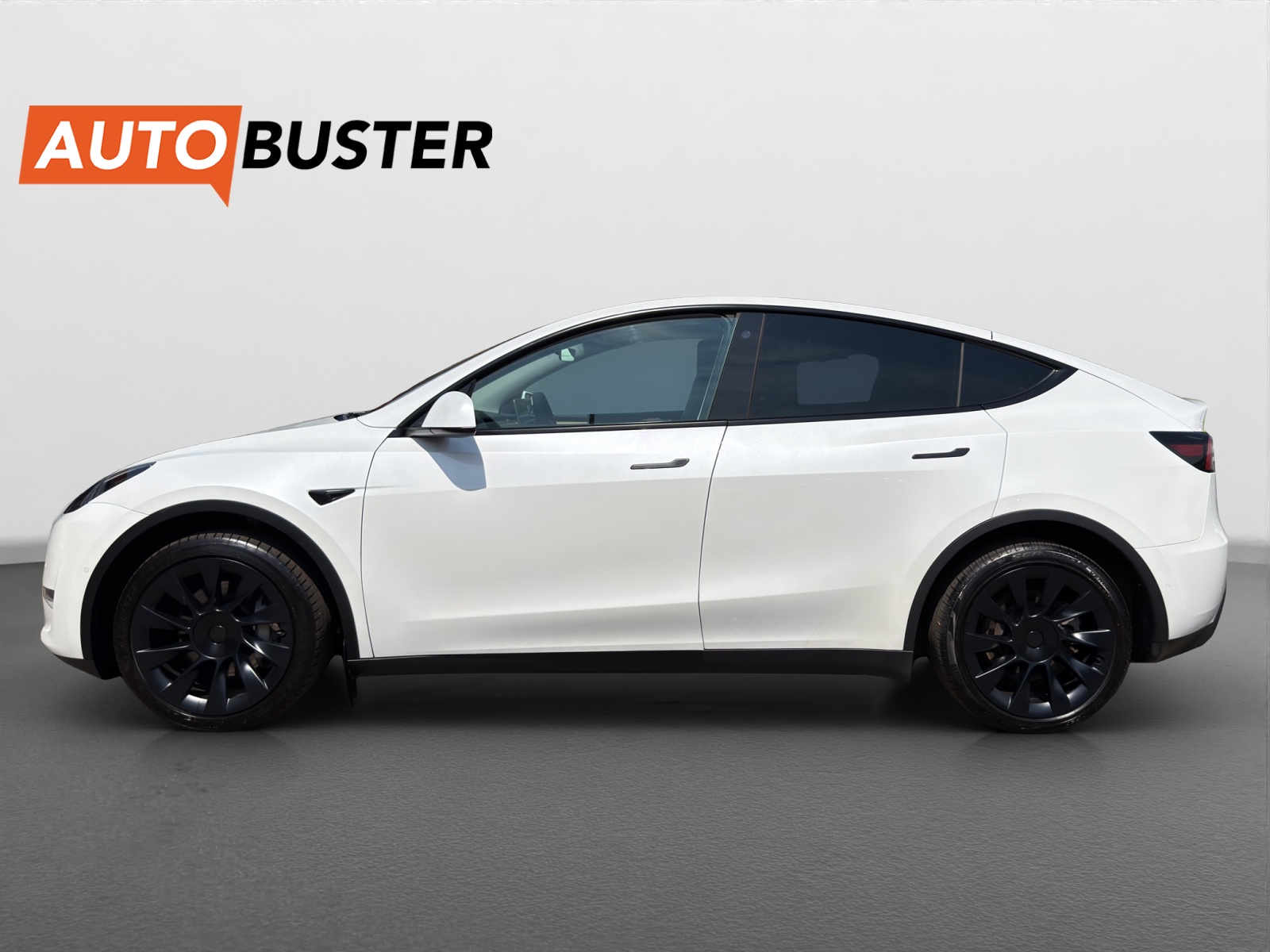 TESLA Model Y Long Range-showroom-element-1