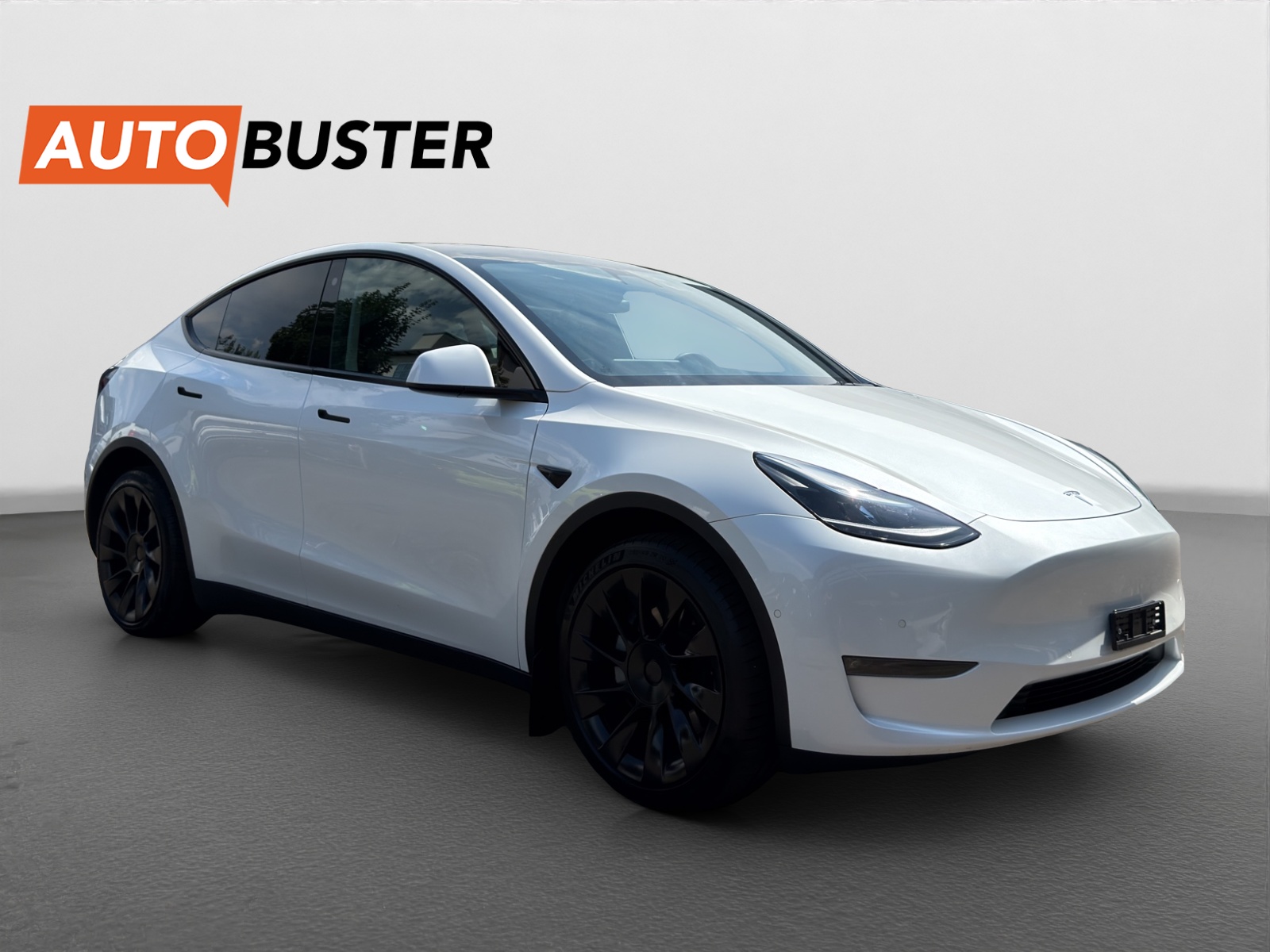TESLA Model Y Long Range-image-6