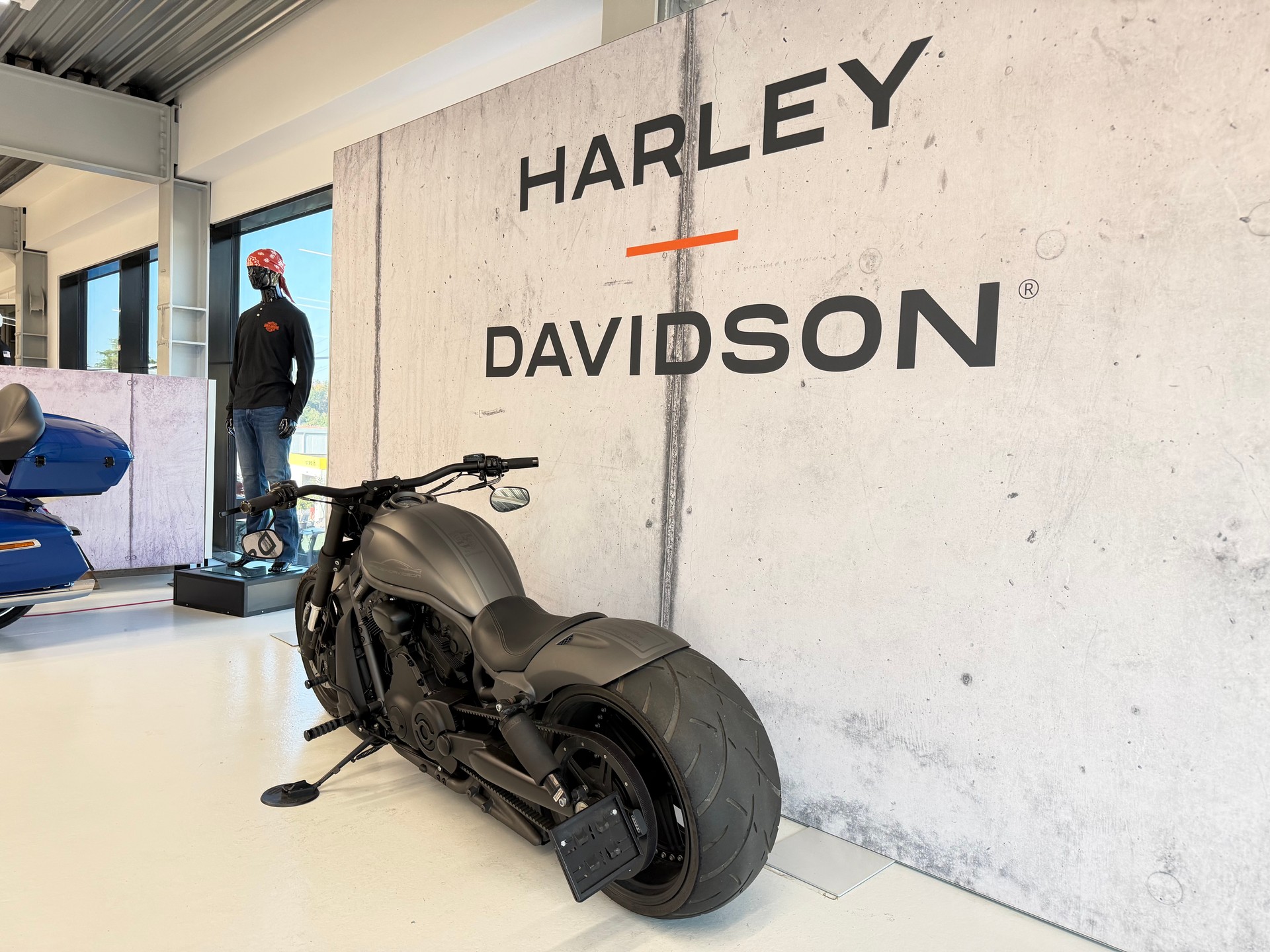 HARLEY-DAVIDSON VRSCDX Night Rod Special ABS-image-5