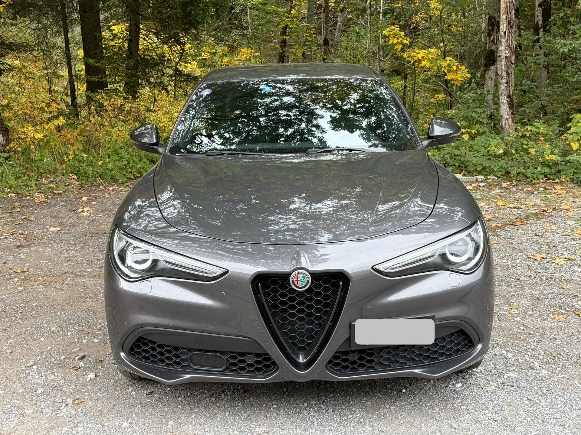ALFA ROMEO 2.0 Q4 280 Veloce