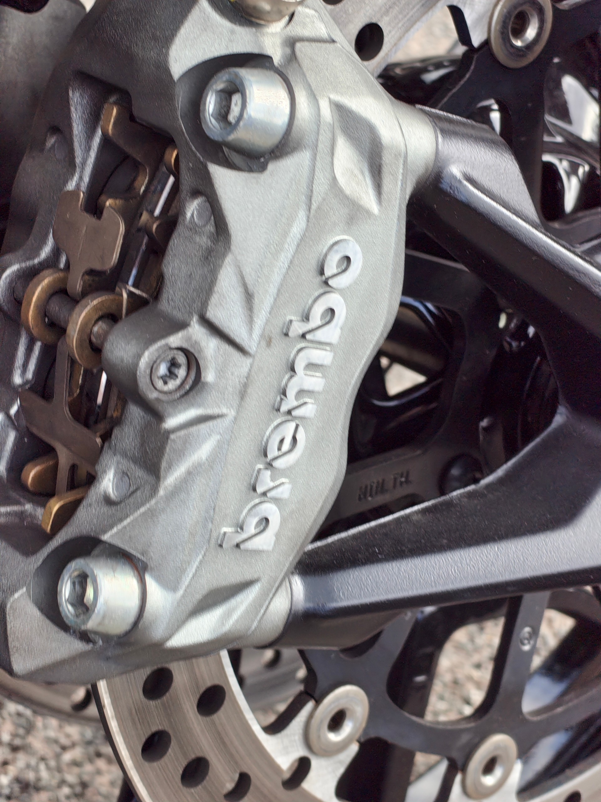 DUCATI Monster 937 + Rizoma Termignoni-image-2