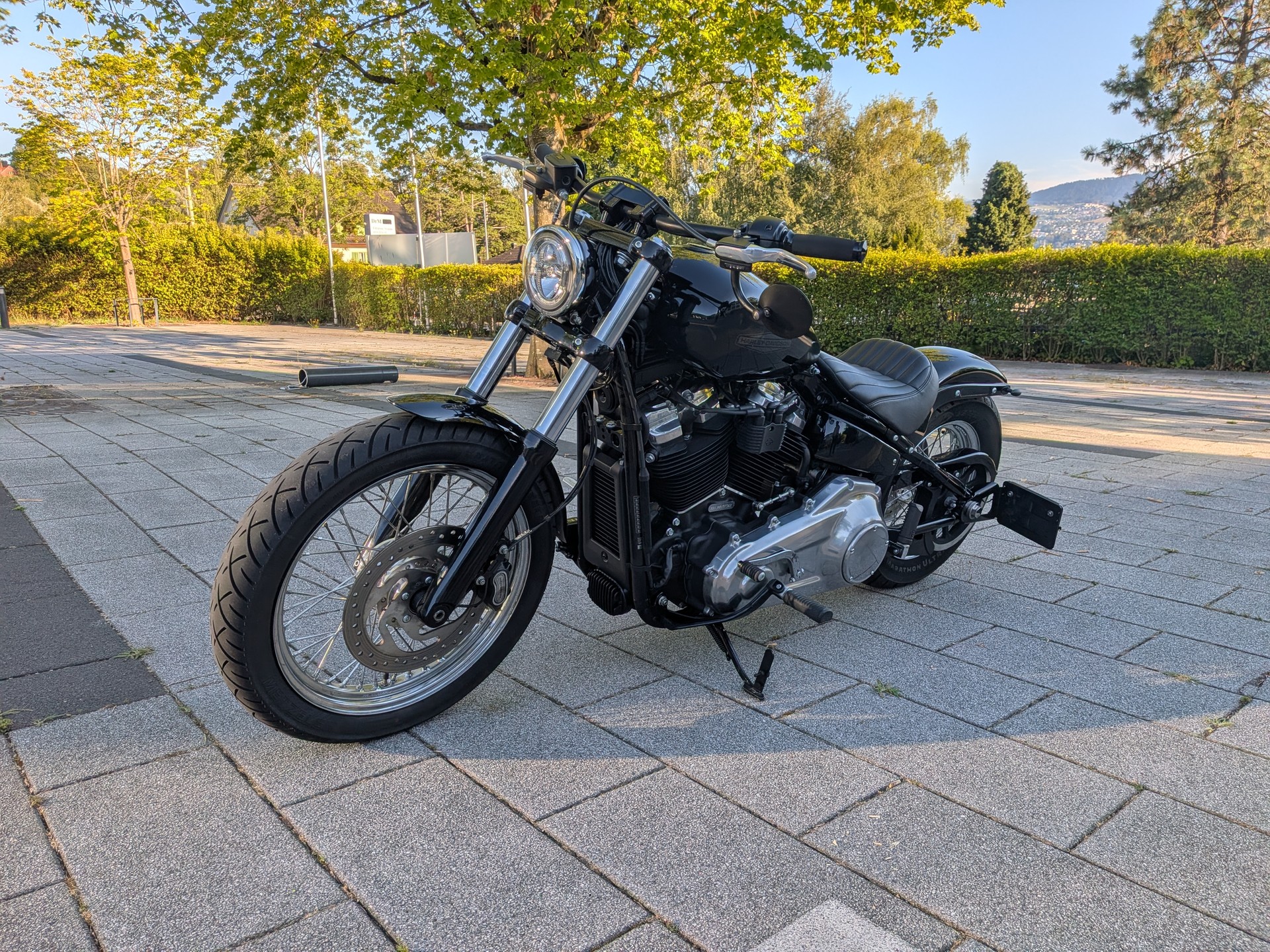 HARLEY-DAVIDSON FXST Softail Standard 107-image-2