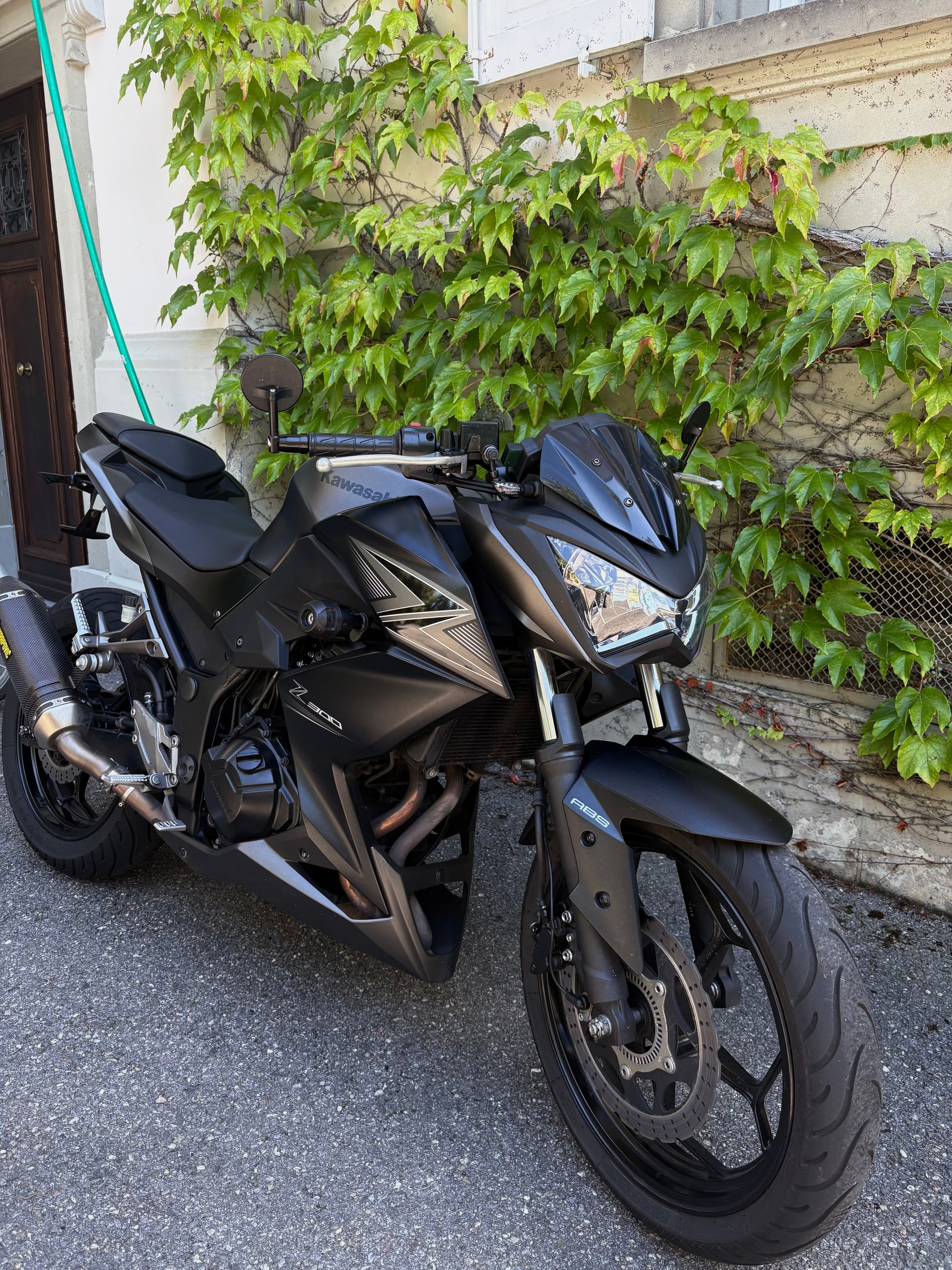 KAWASAKI Z 300 ABS-image-1