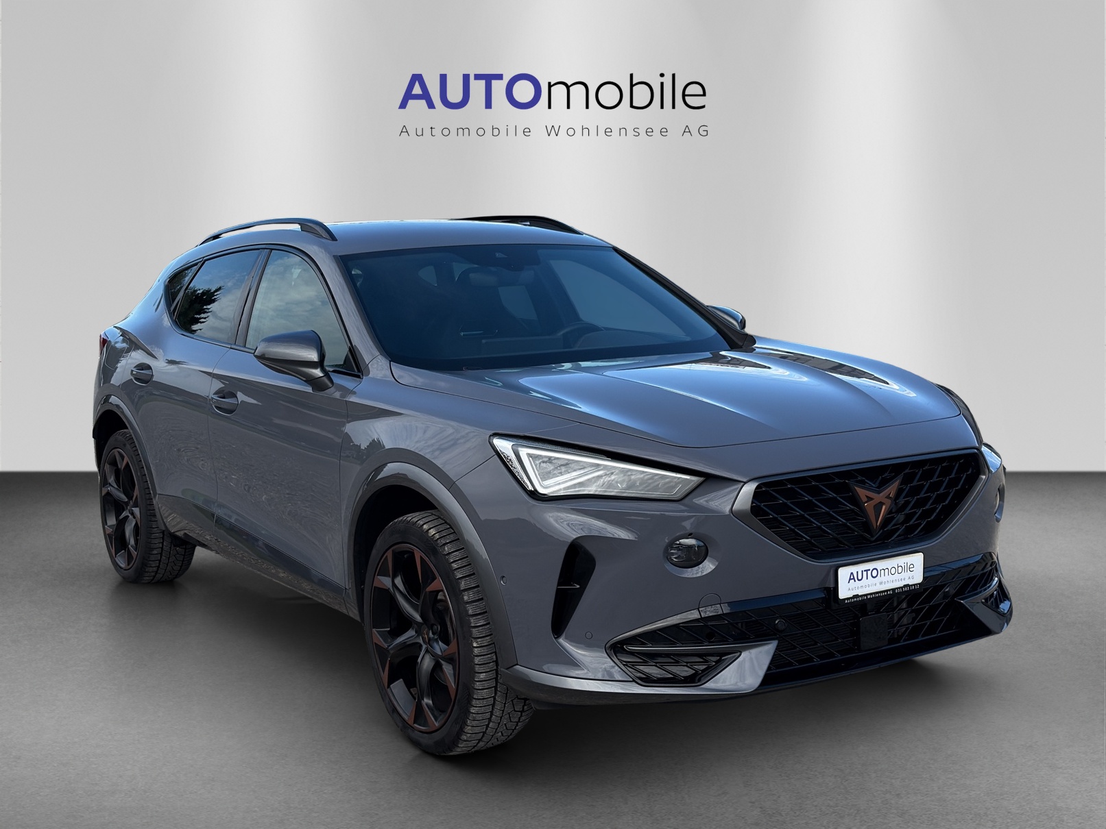 CUPRA Formentor 2.0TSI 4Drive DSG-showroom-element-3