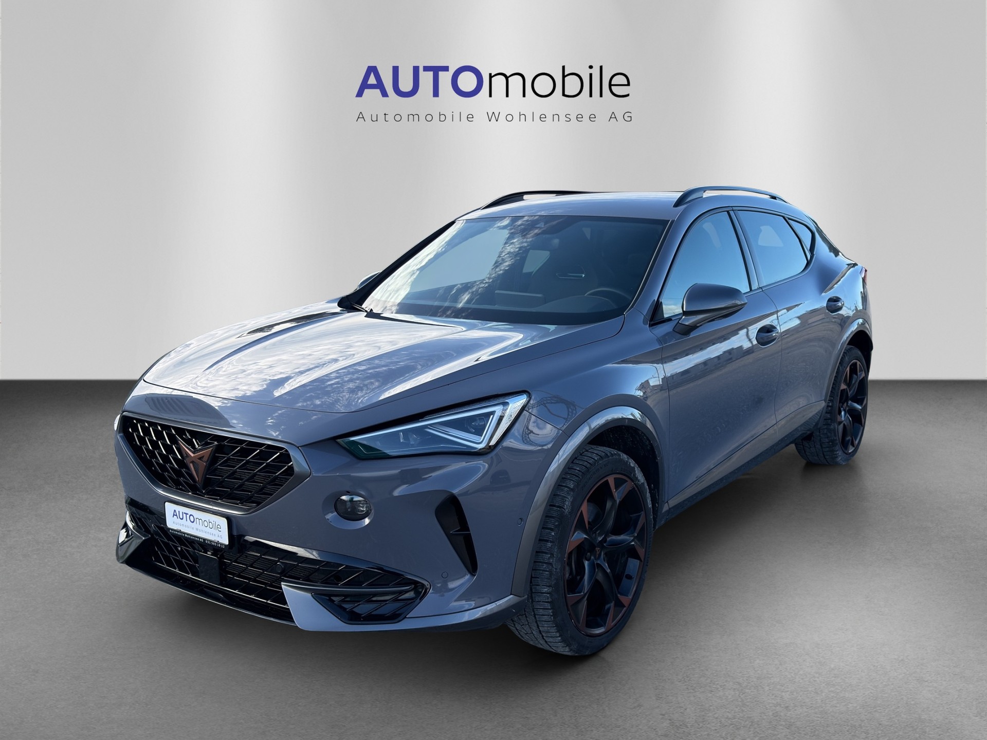 CUPRA Formentor 2.0TSI 4Drive DSG-showroom-element-1