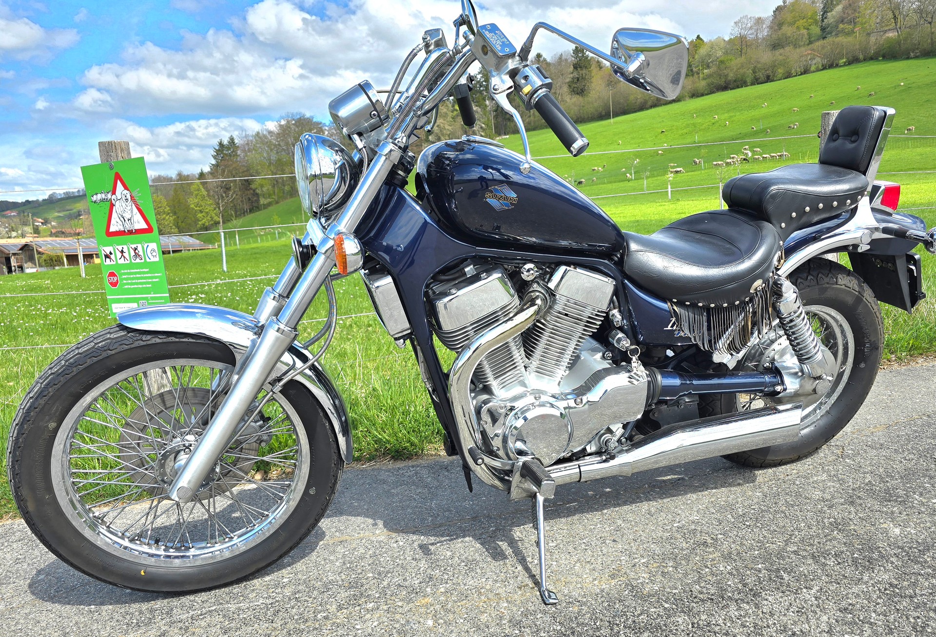 SUZUKI Intruder-image-3