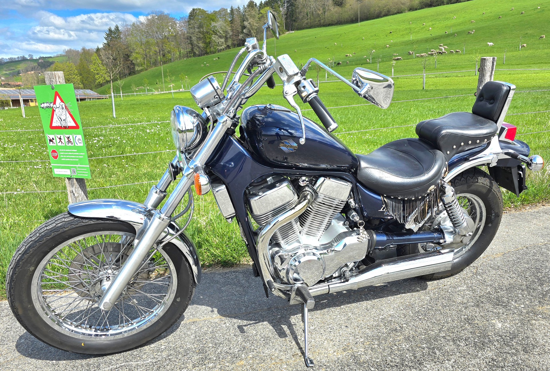 SUZUKI Intruder-image-2