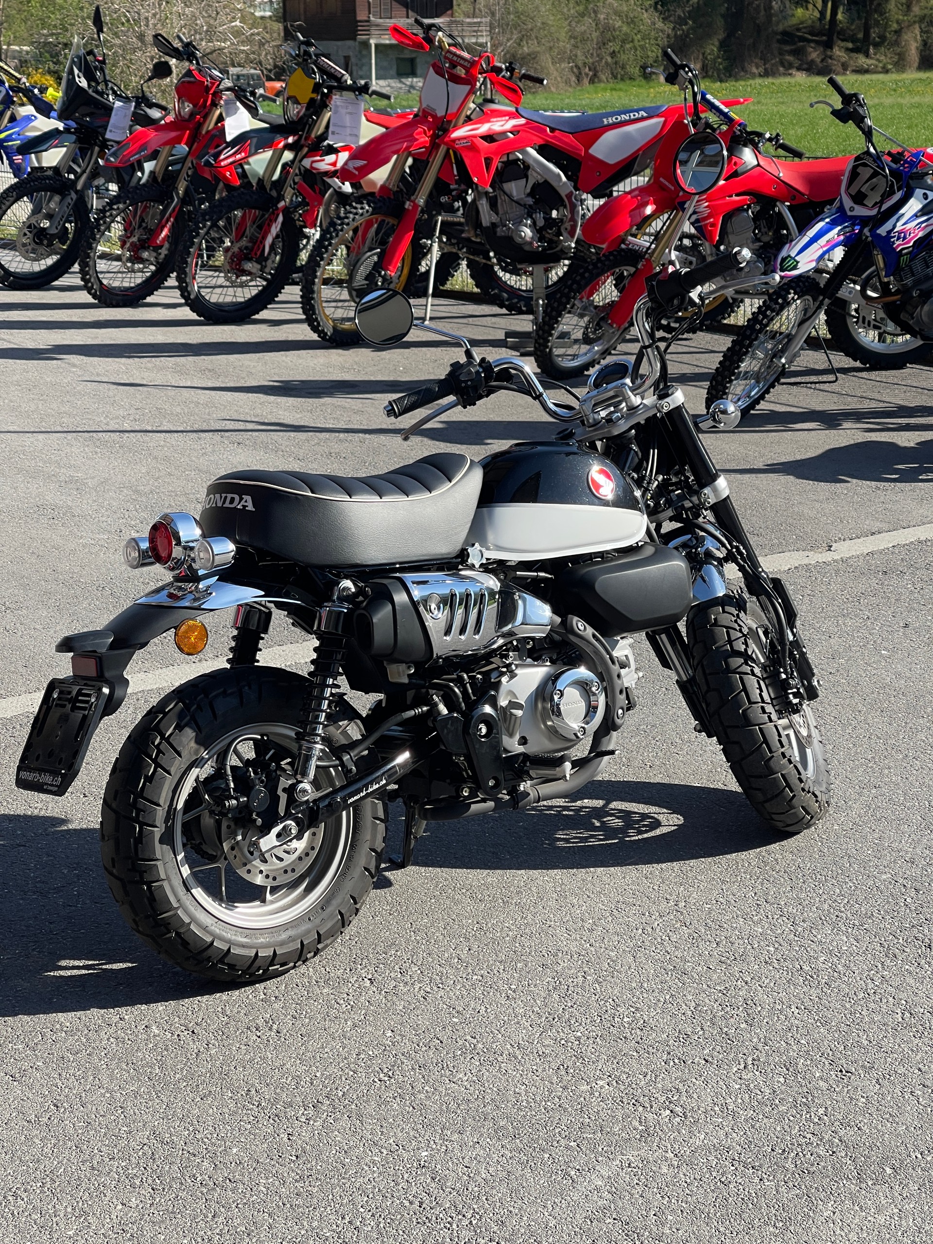HONDA Z 125 Monkey-image-3