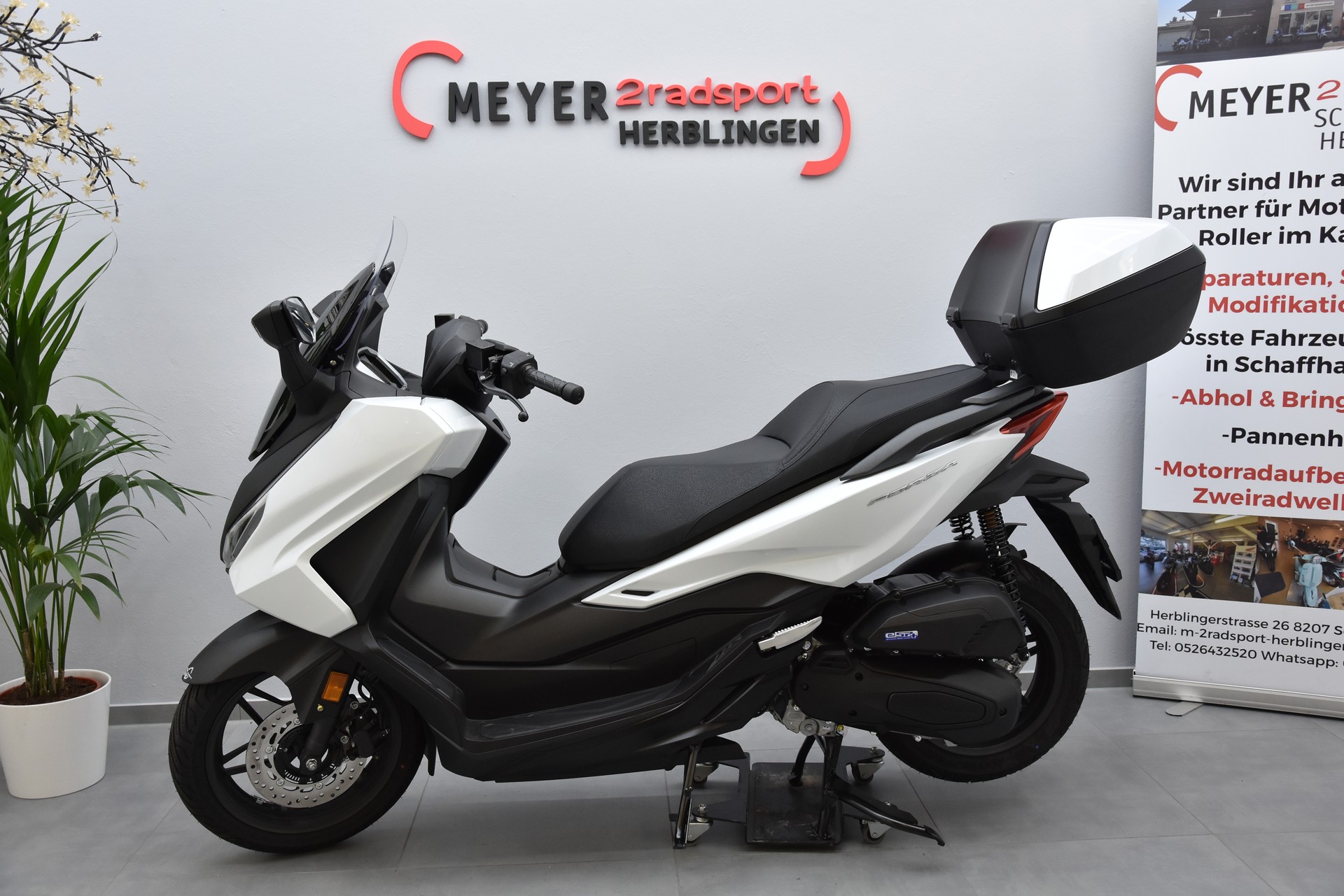 HONDA Nss 125 Forza Smart TopBox Sommeraktion bis 31.8.26-image-4