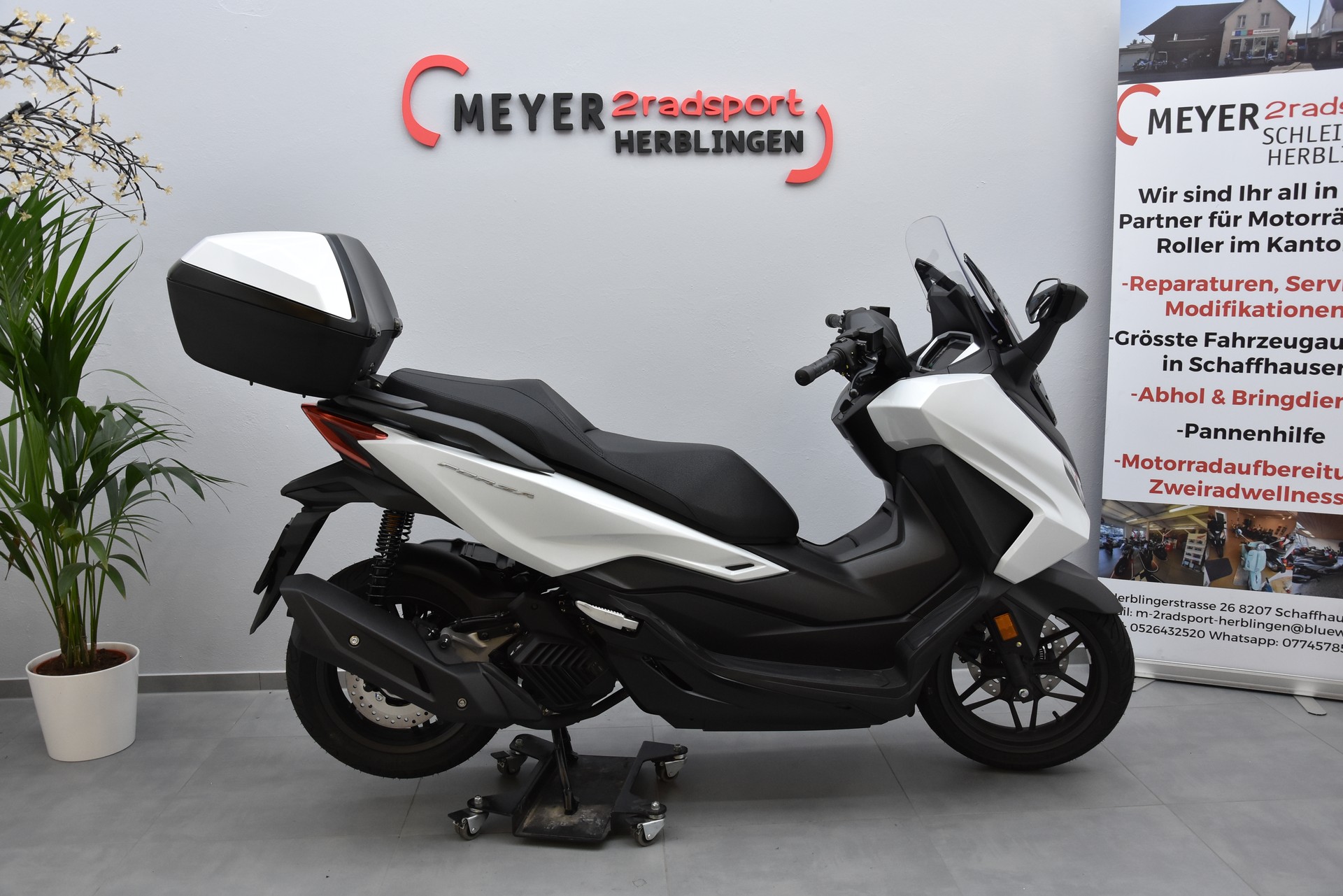 HONDA Nss 125 Forza Smart TopBox Sommeraktion bis 31.8.26-showroom-element-1